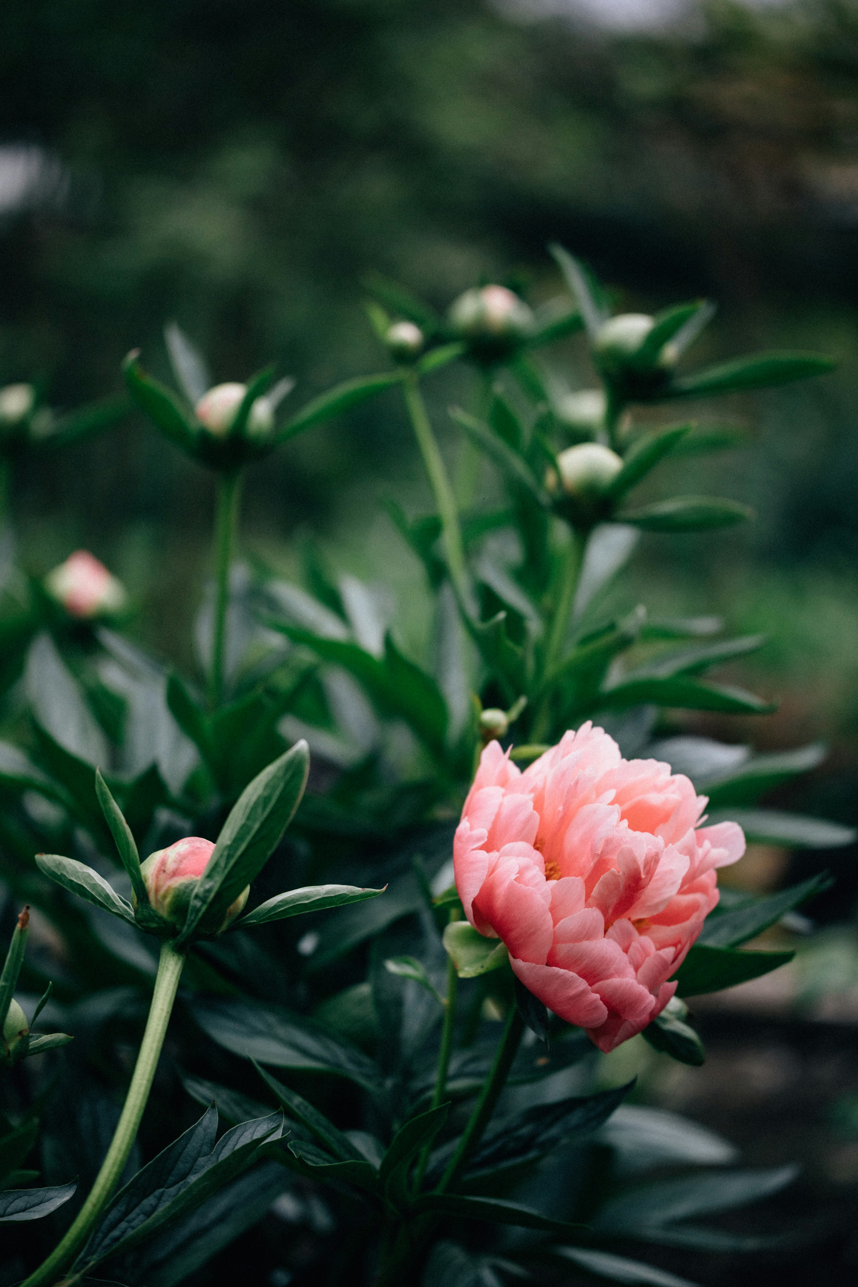 Photo by tsuyoshikozu