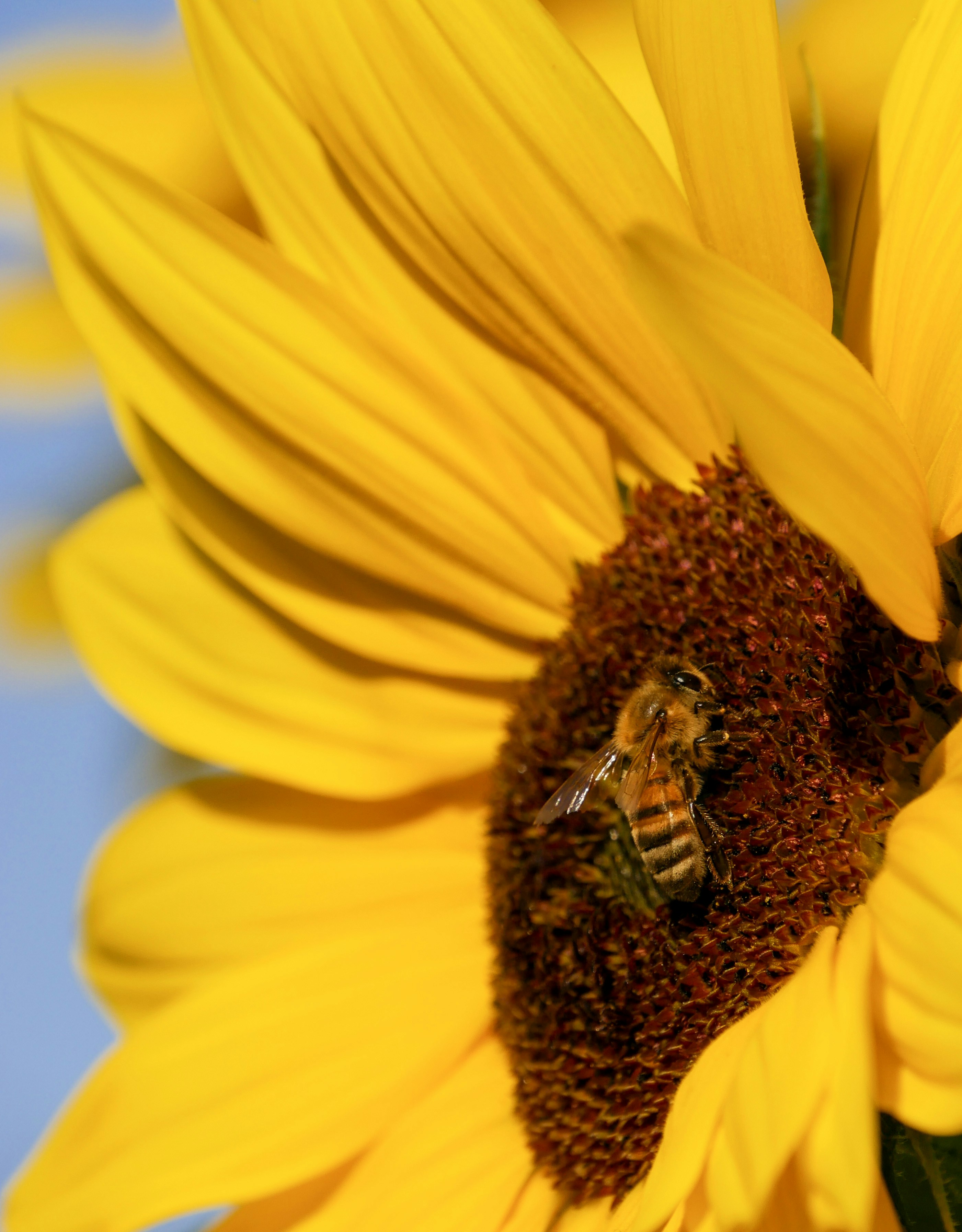 Photo by matildajarl