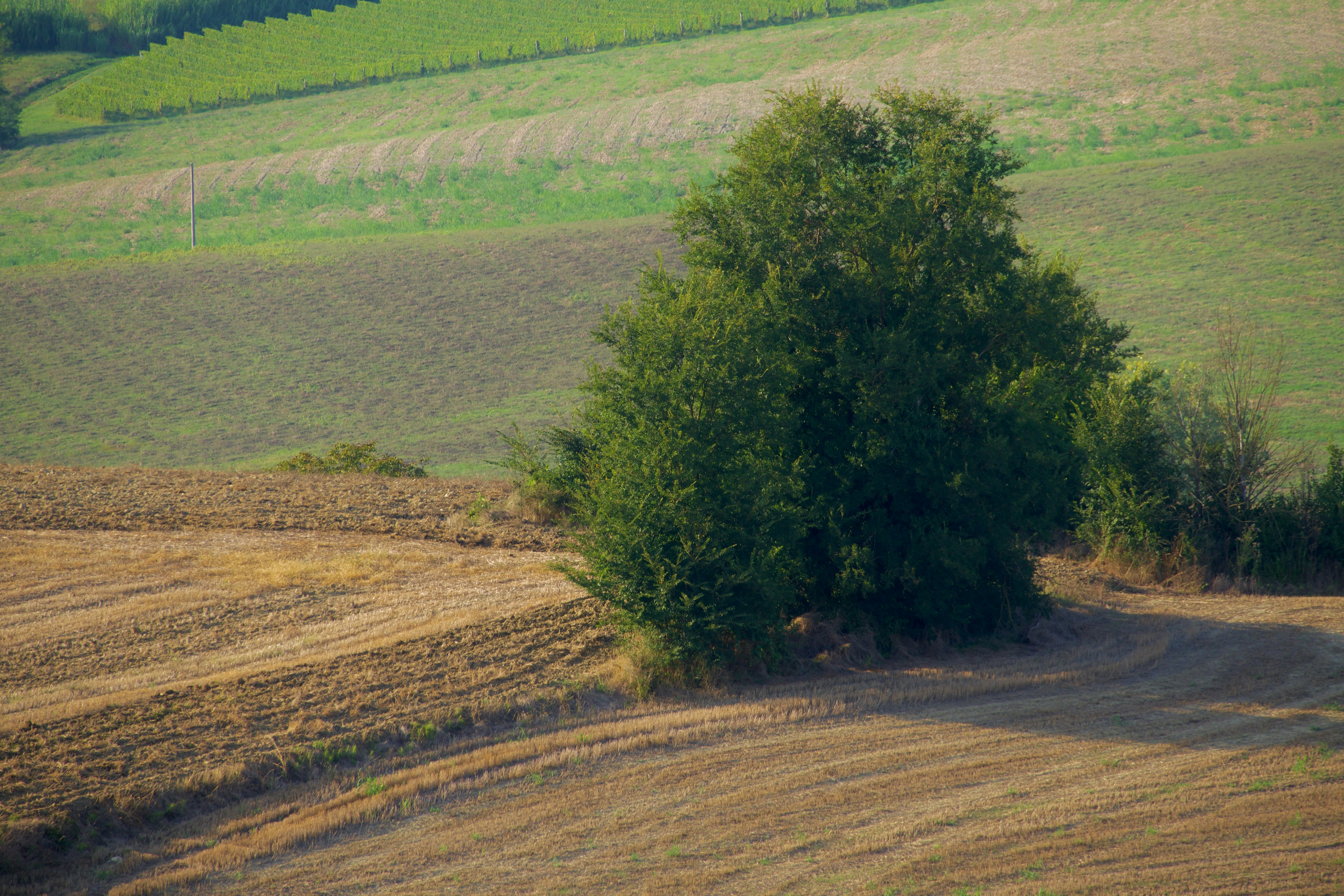 Photo by jan_zinnbauer