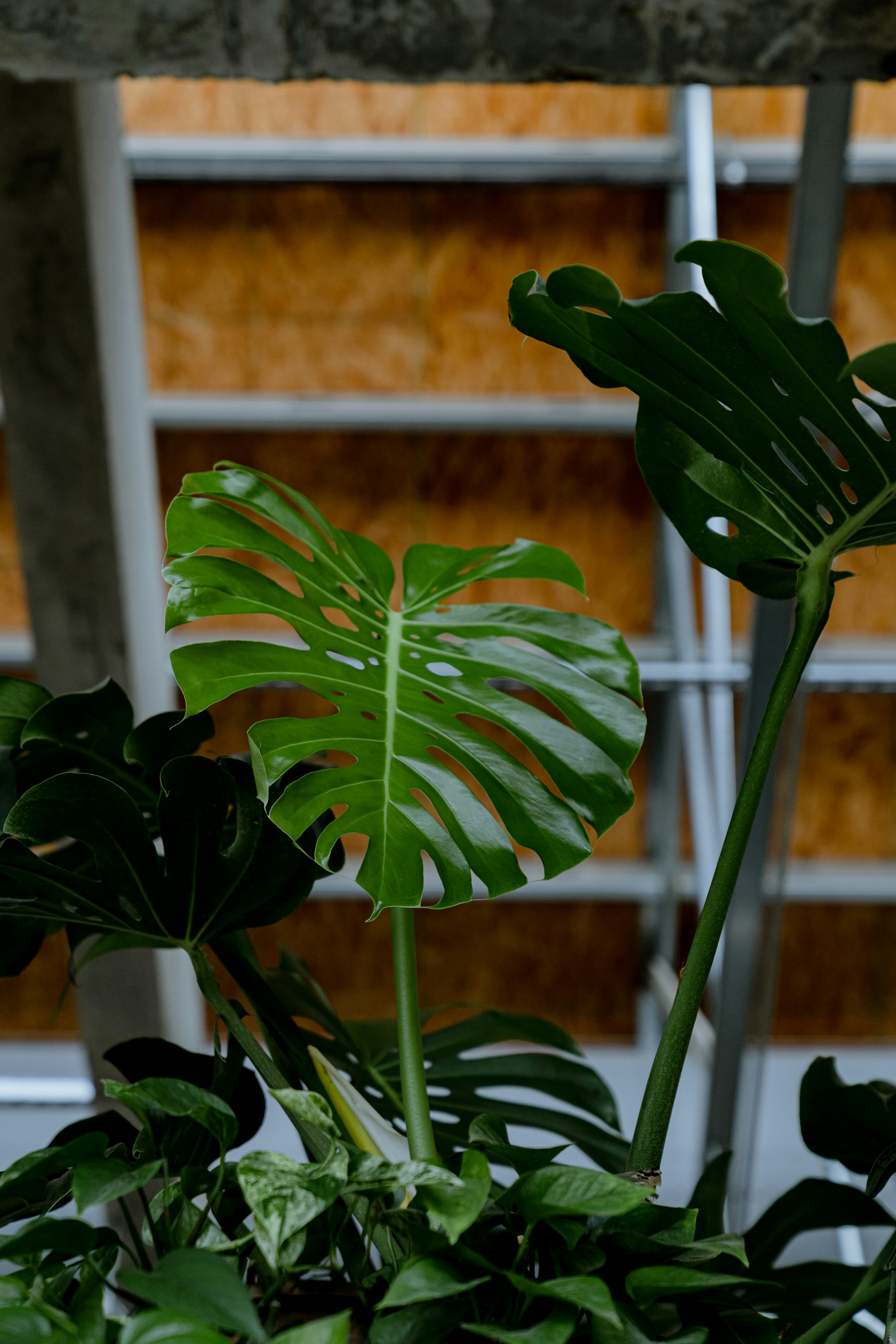 Photo by drewdempsey