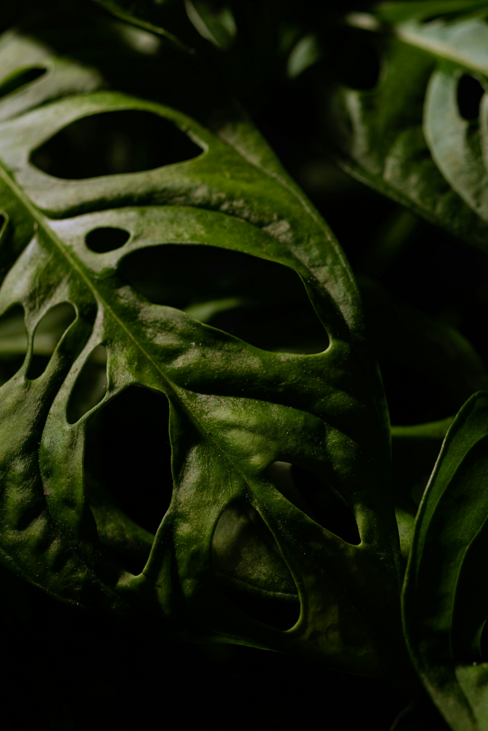 Photo by drewdempsey