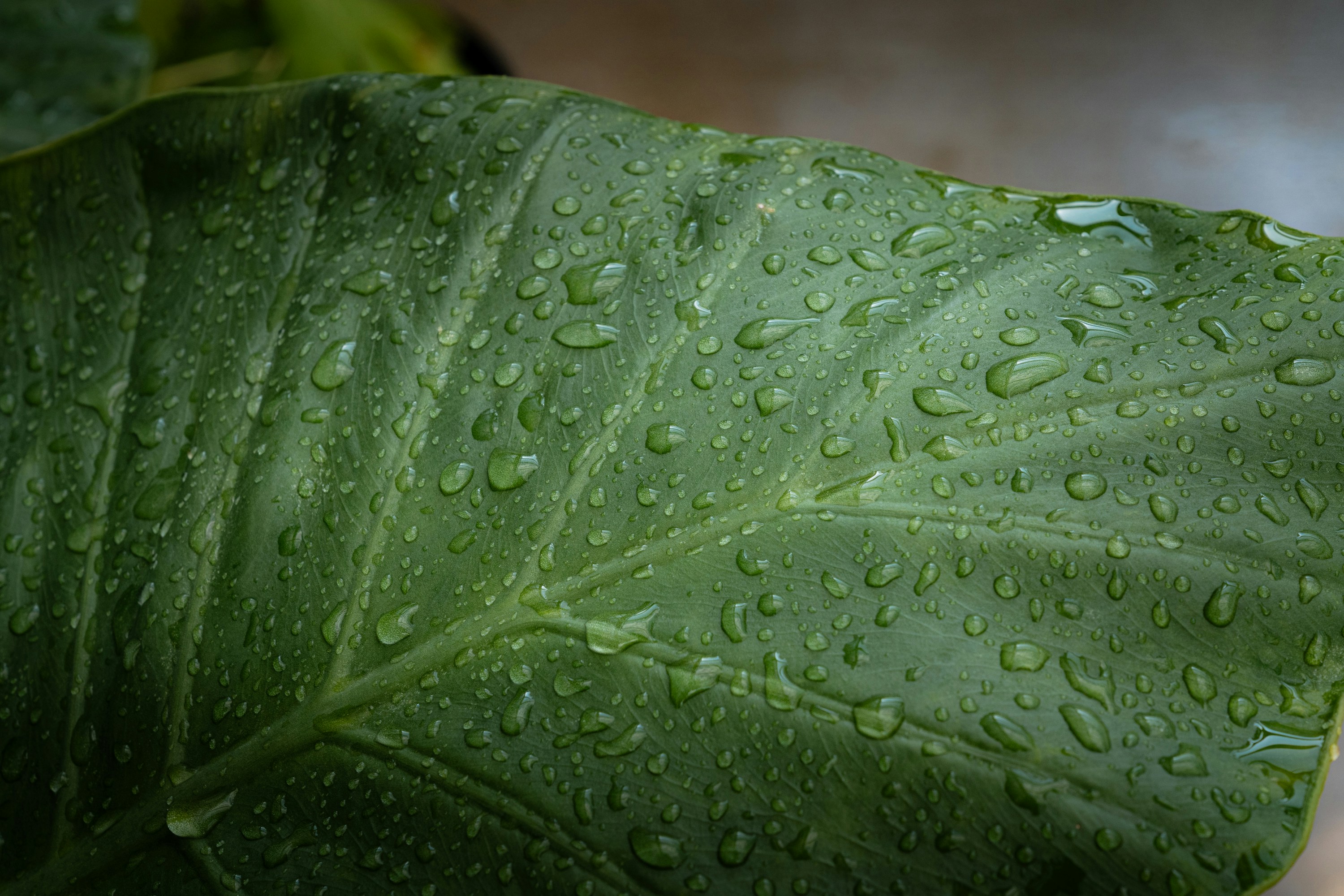 Photo by drewdempsey