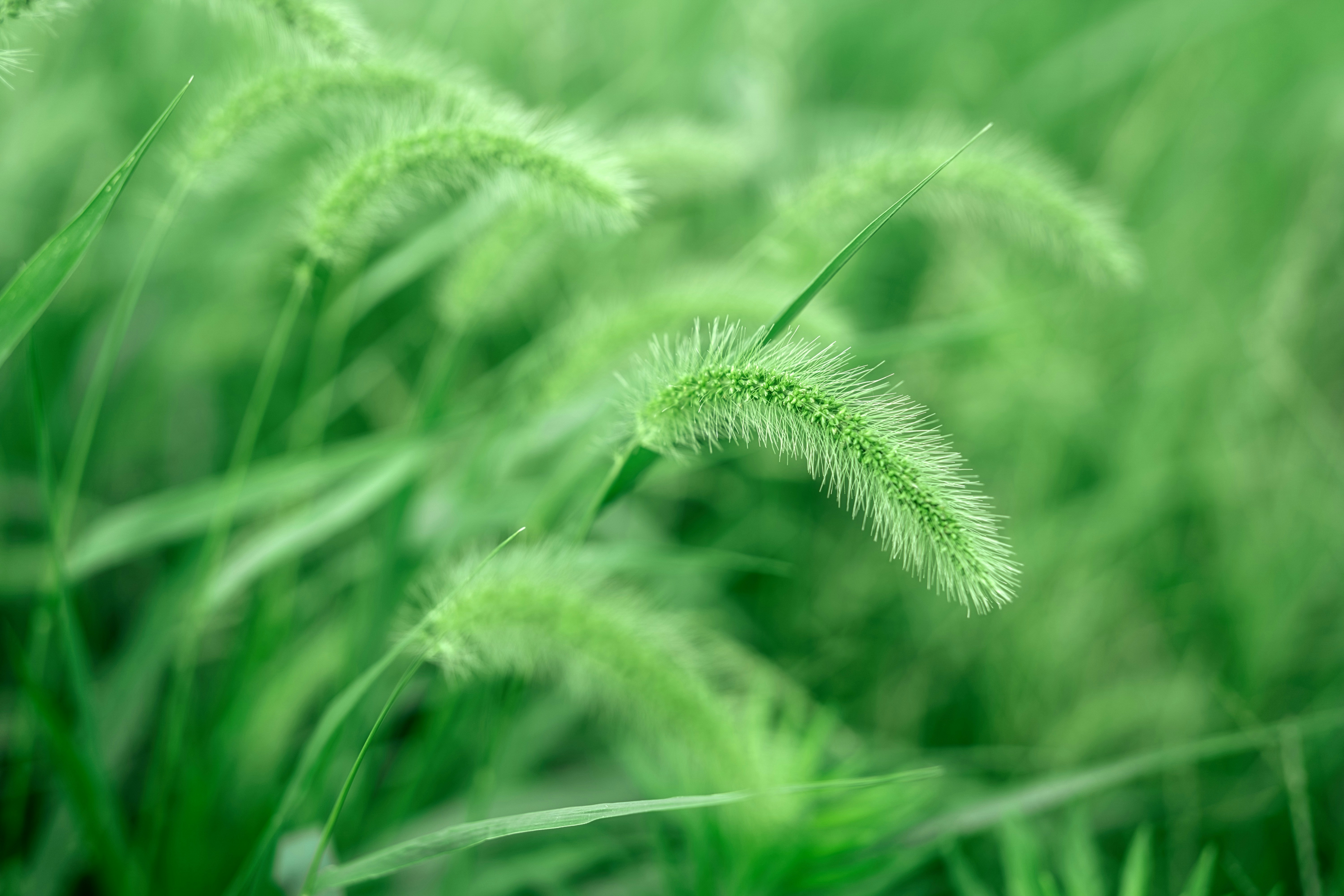 Photo by xiexianghua