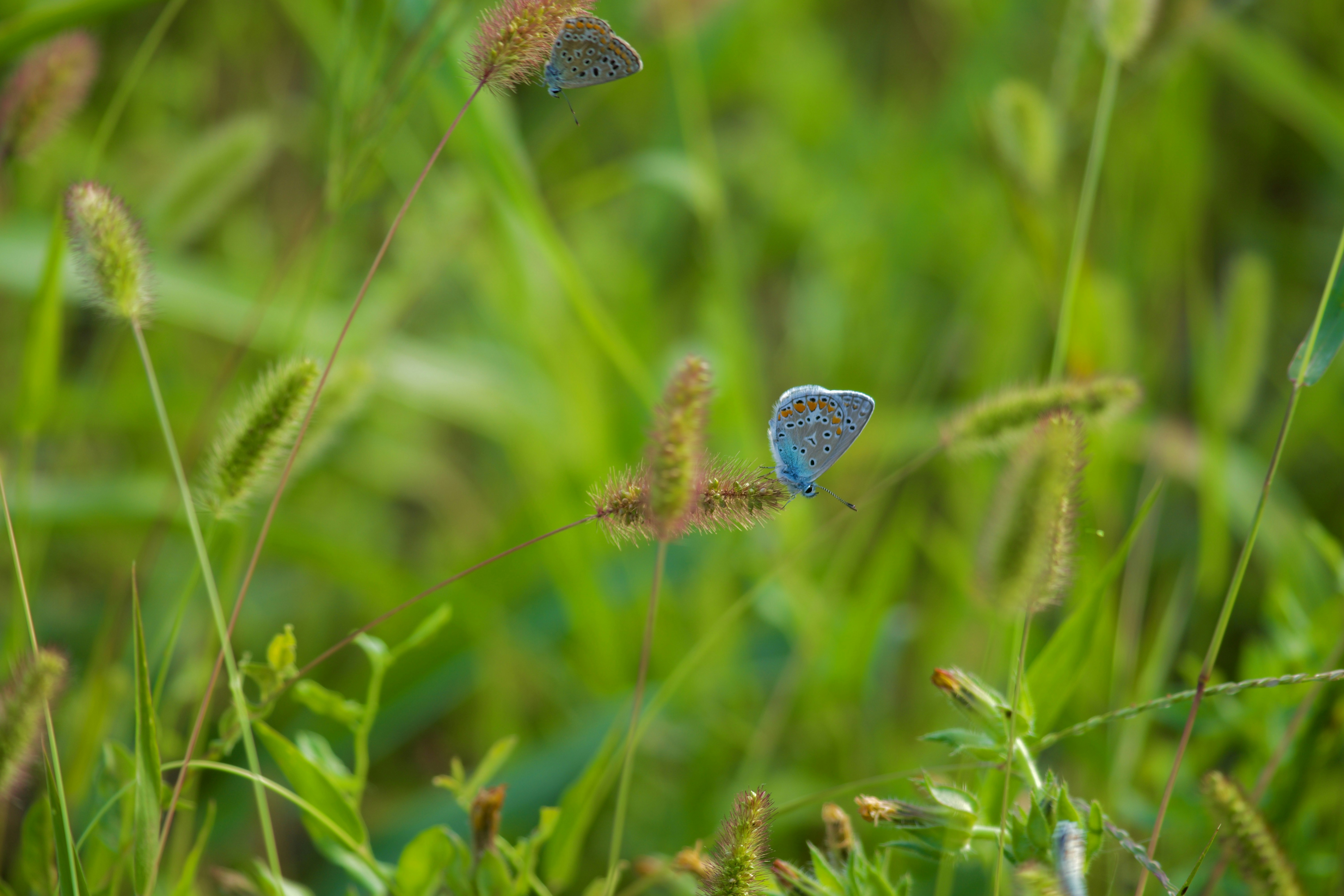 Photo by jan_zinnbauer