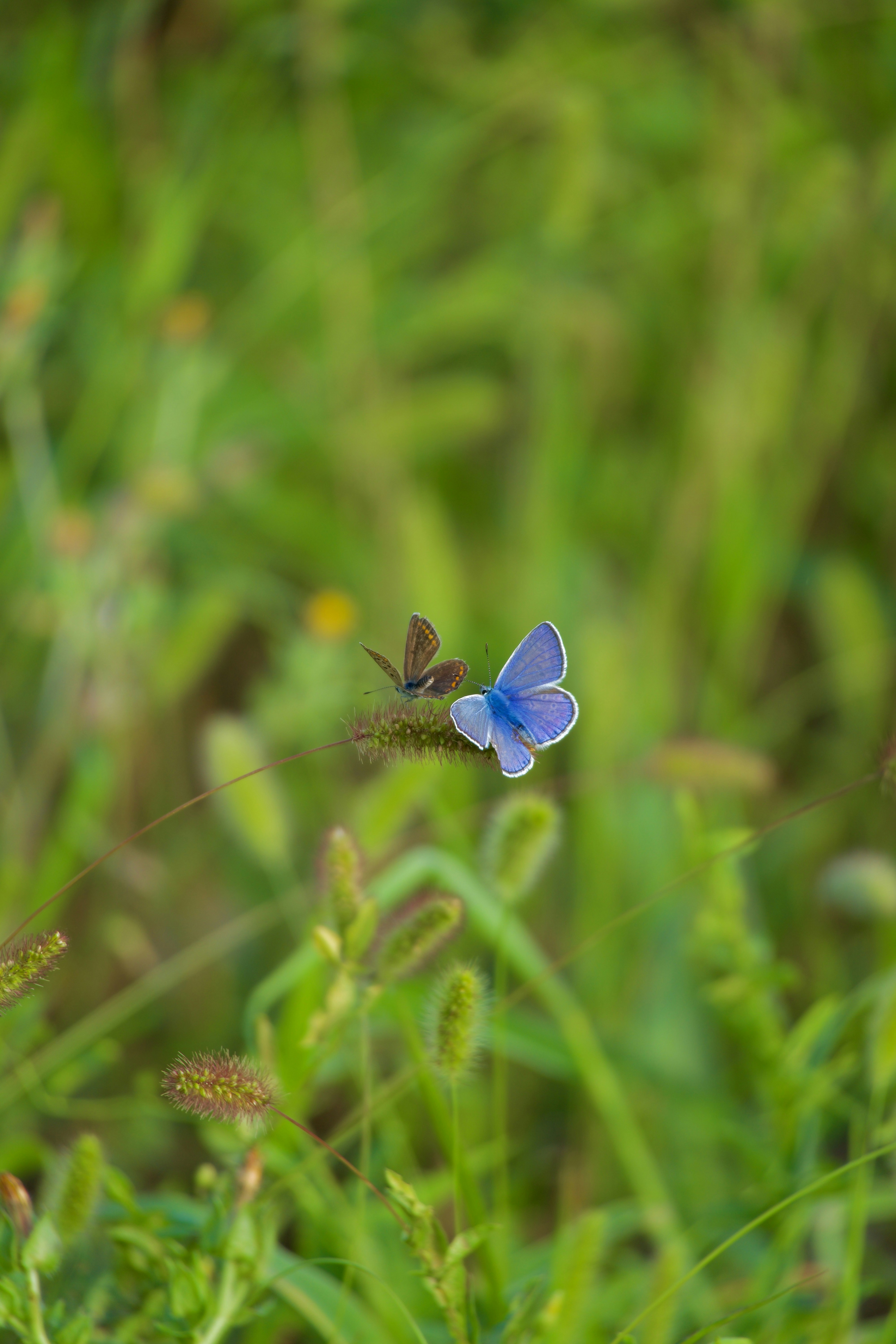 Photo by jan_zinnbauer