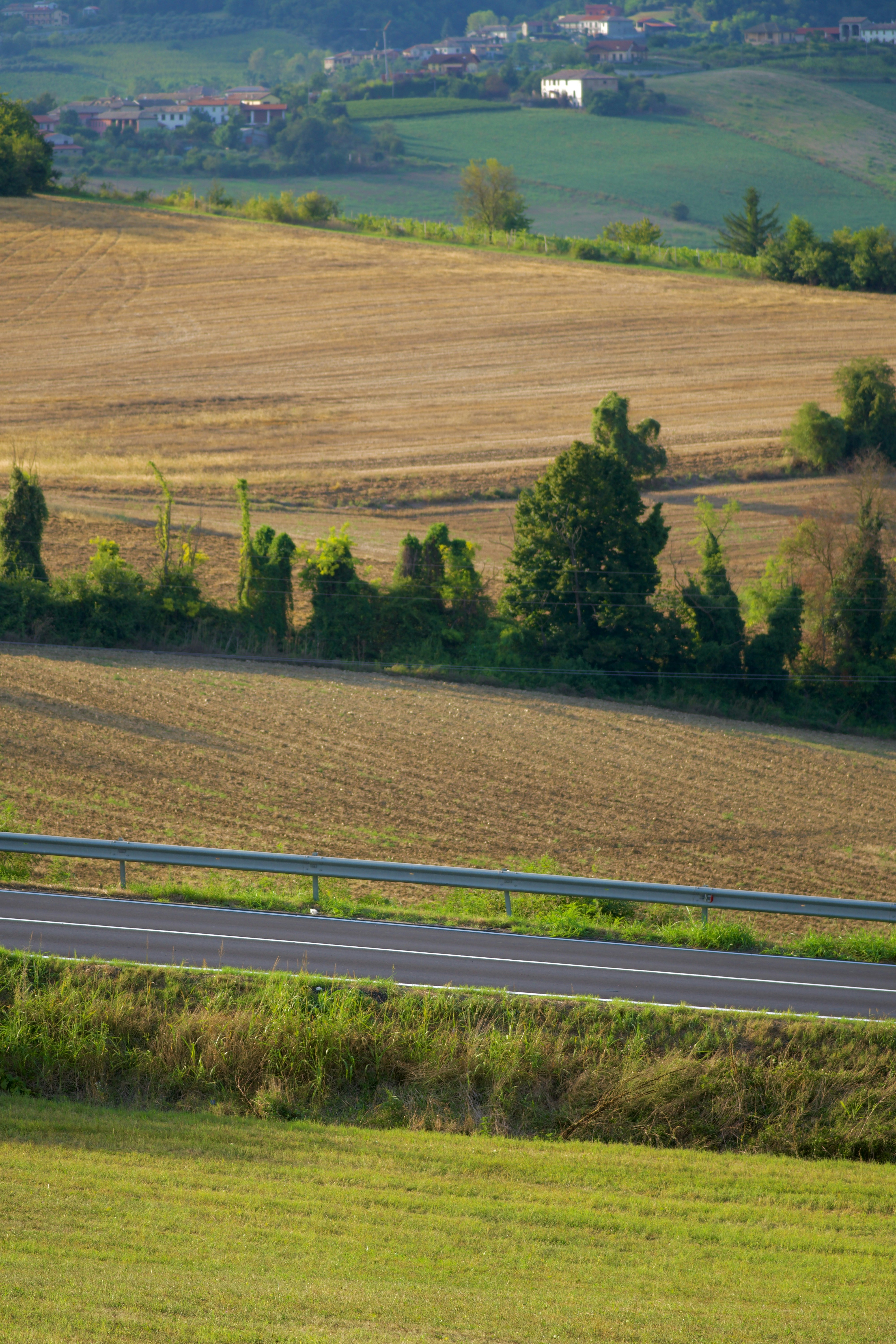 Photo by jan_zinnbauer