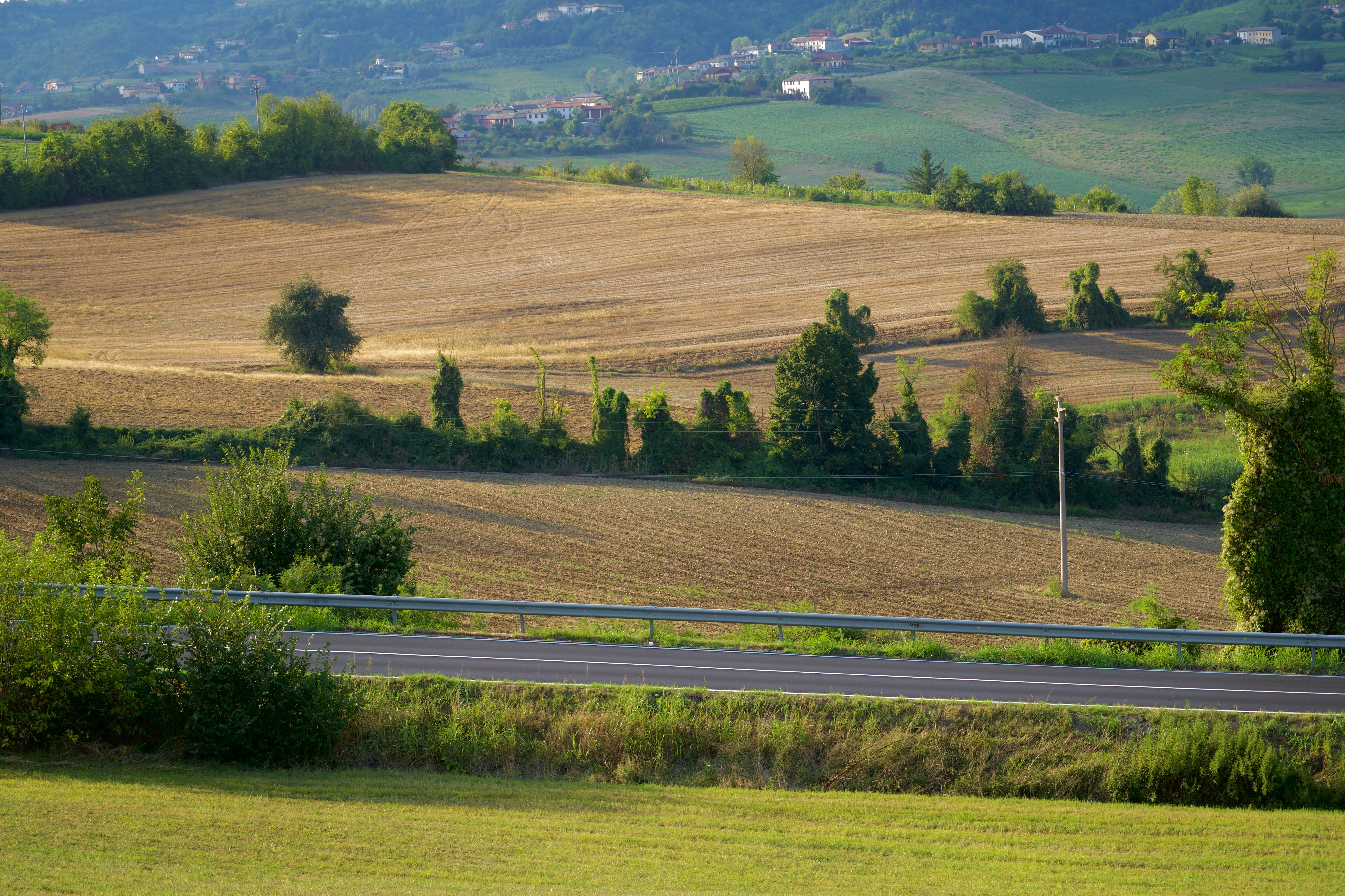 Photo by jan_zinnbauer