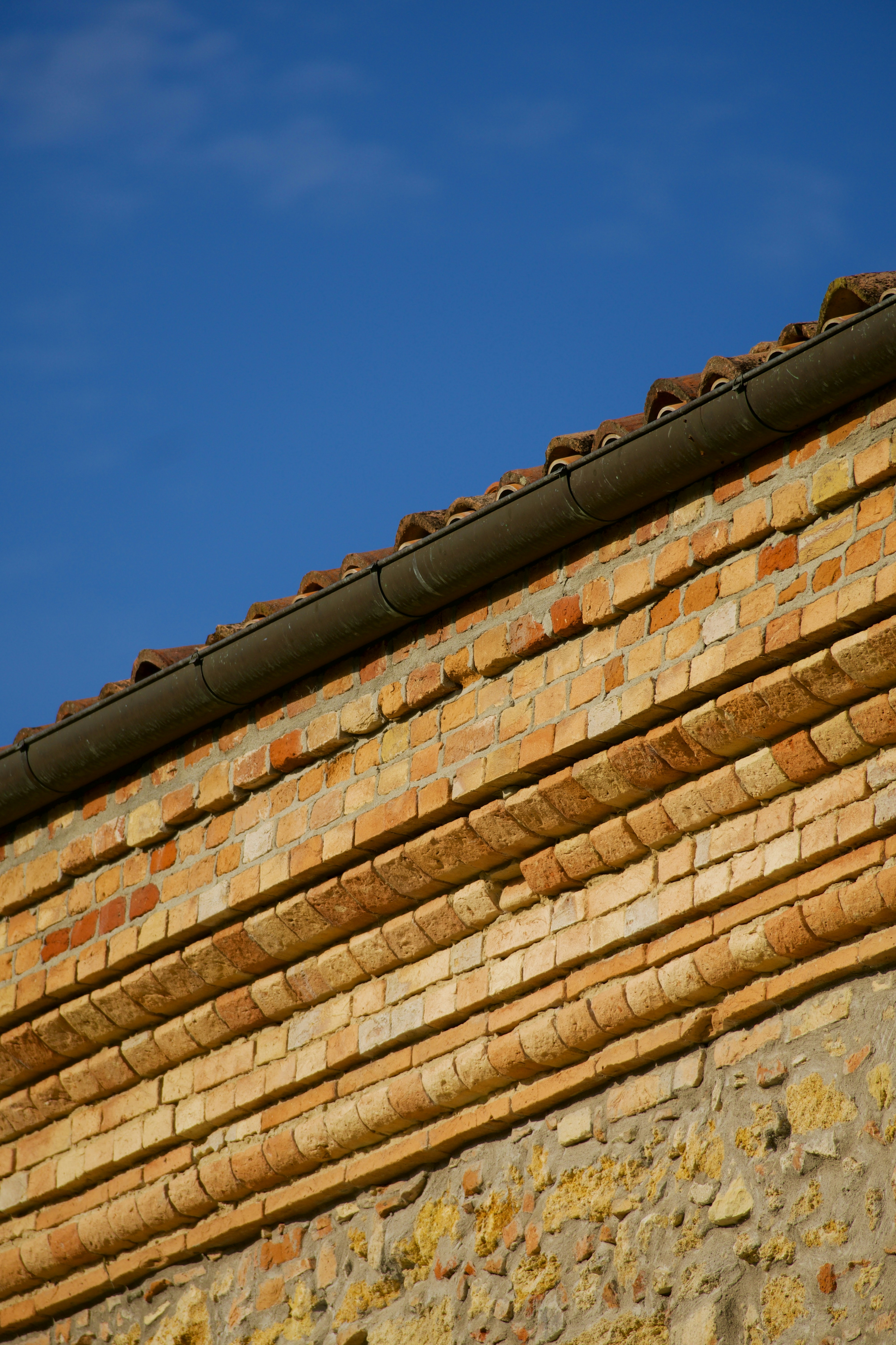 Photo by jan_zinnbauer