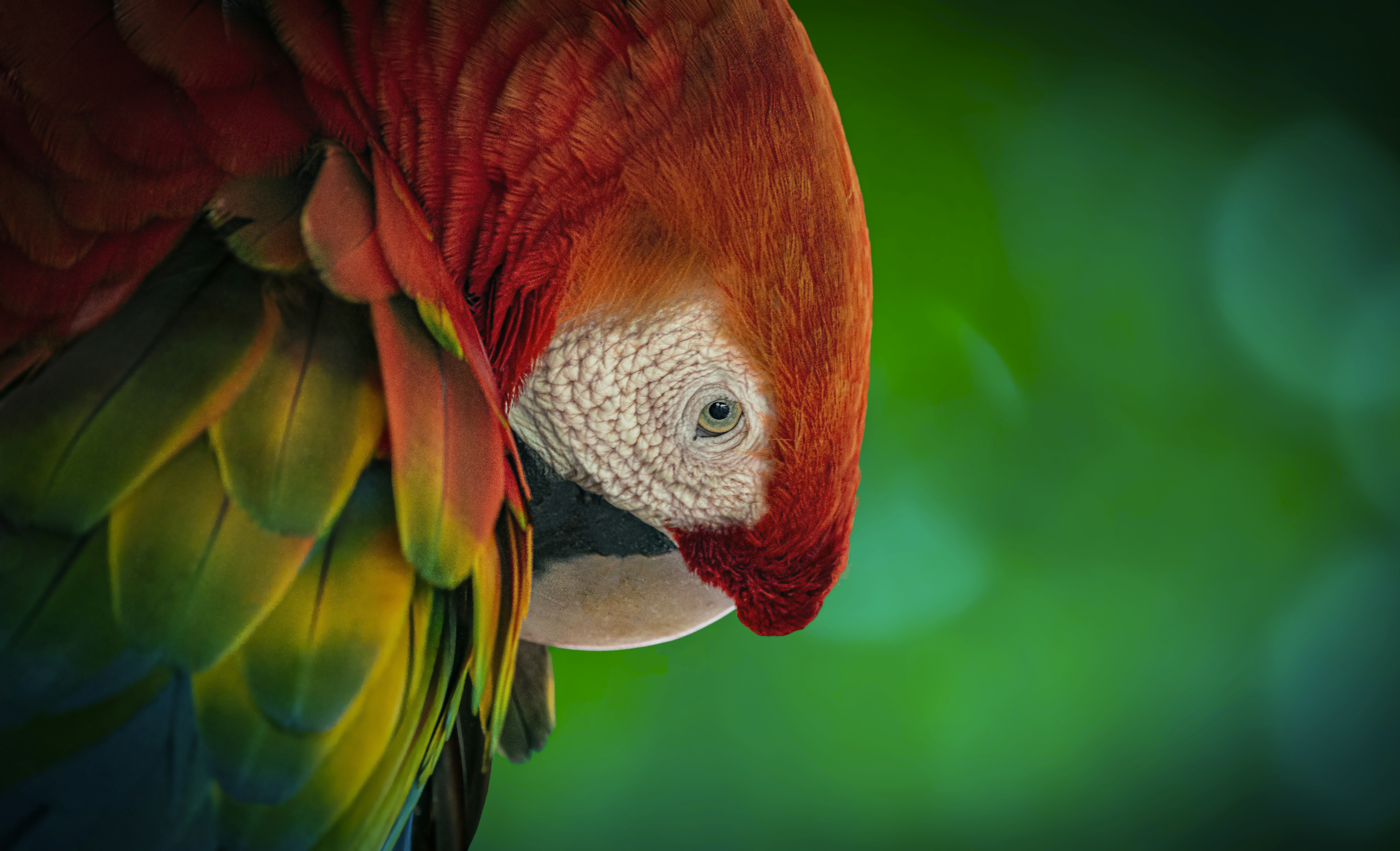 Photo by pedrohallfotos