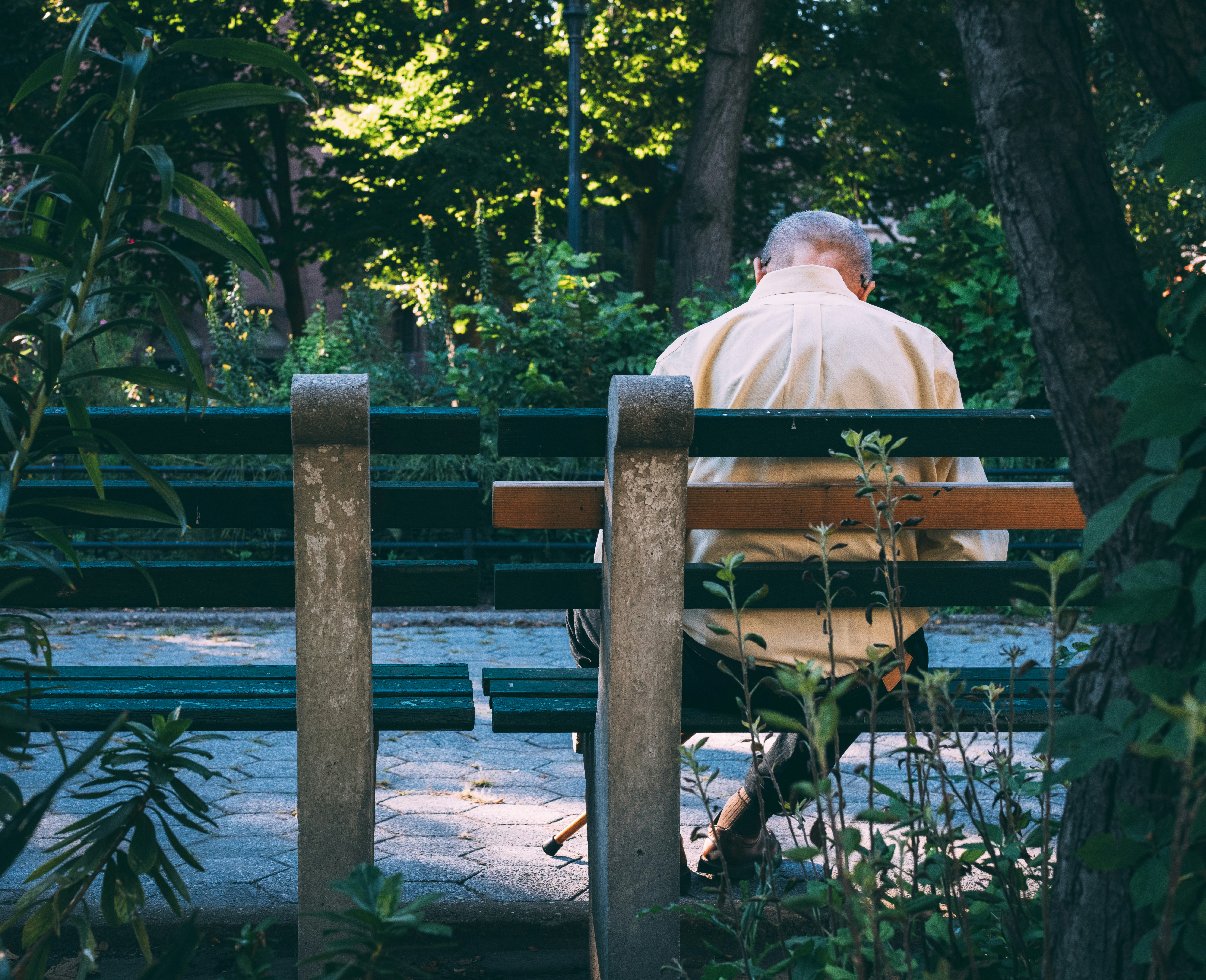 A man sitting on a bench in a park