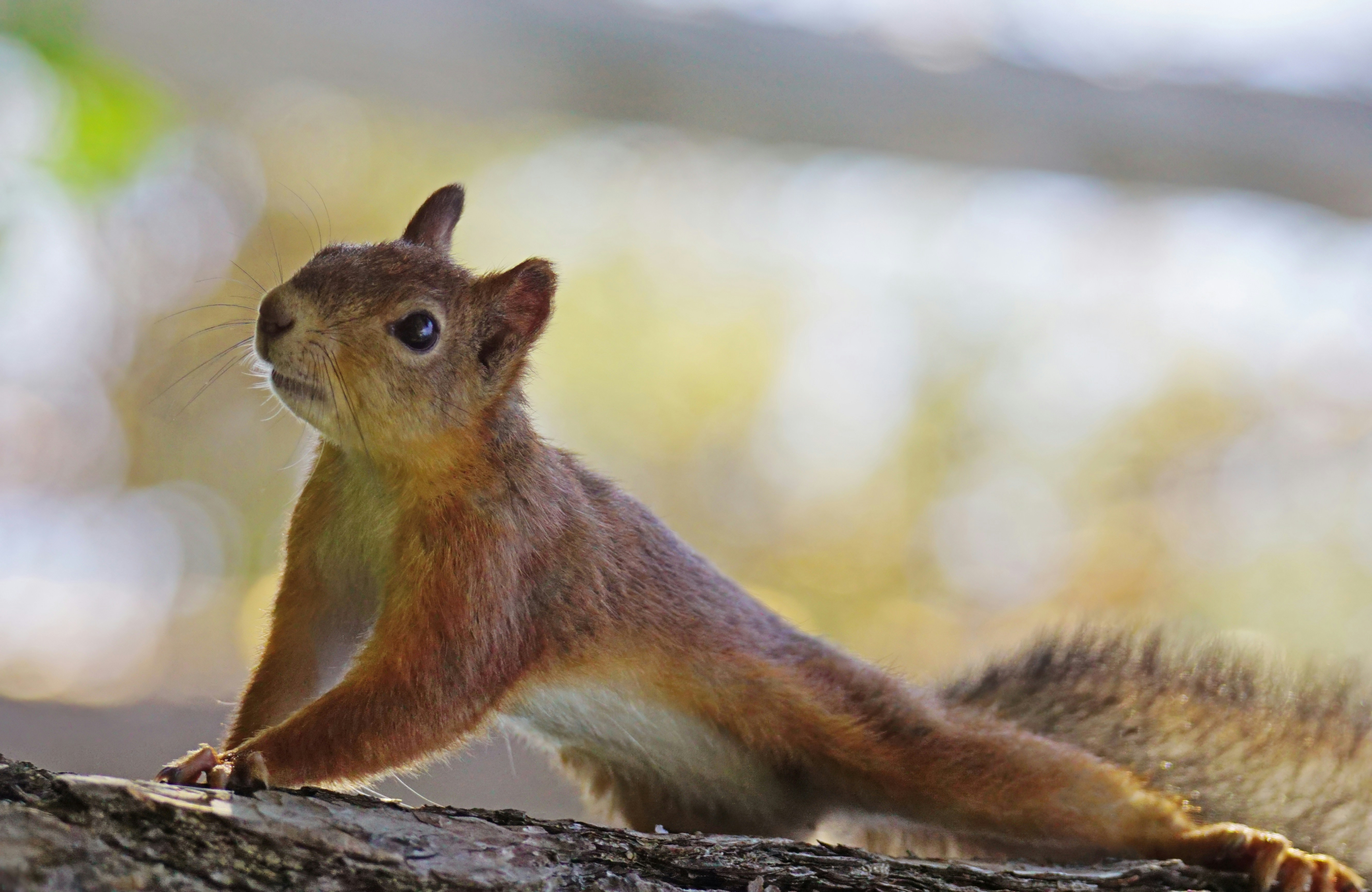 Photo by marttisalmi