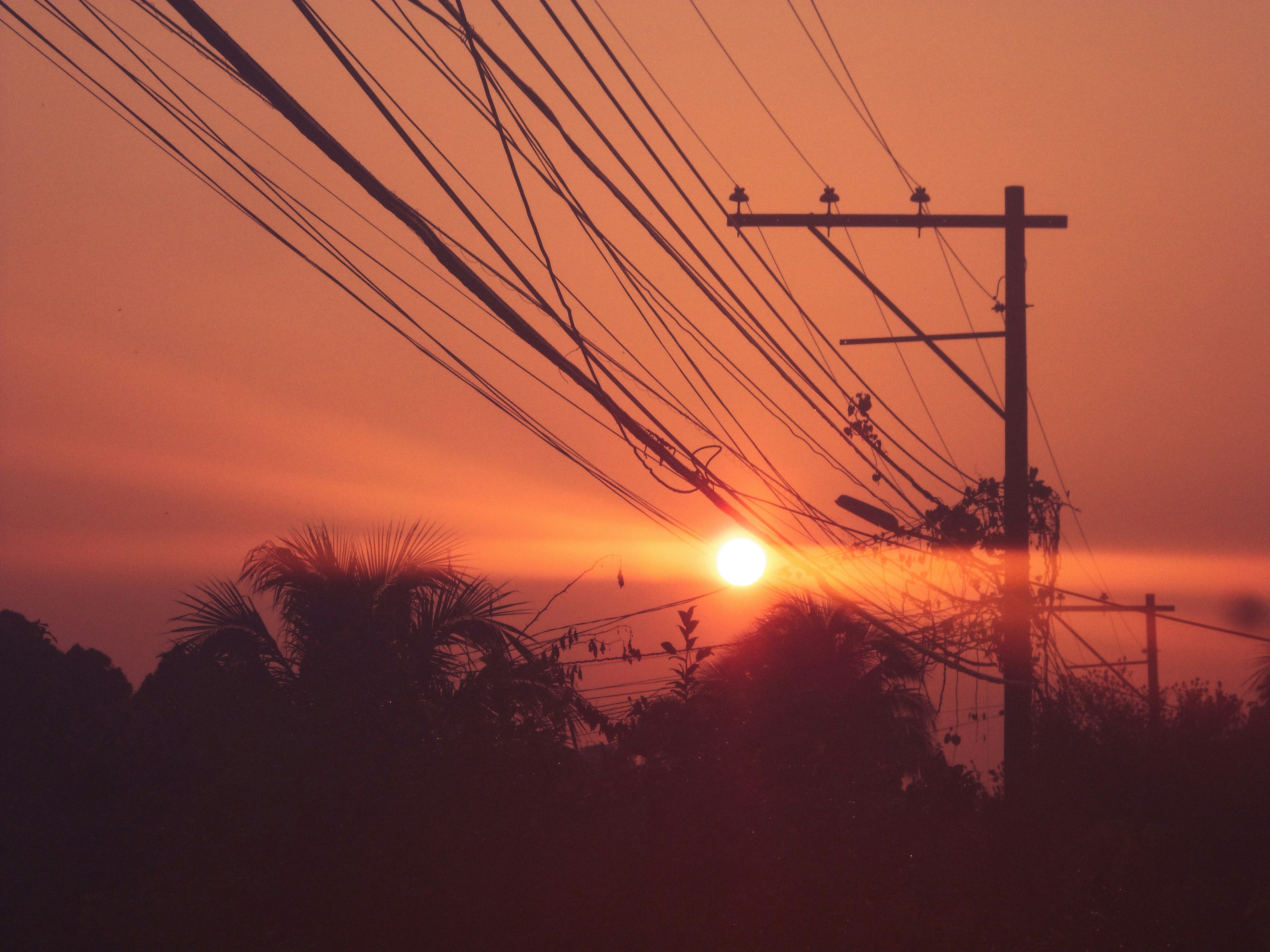 Photo by andrewsqcriz