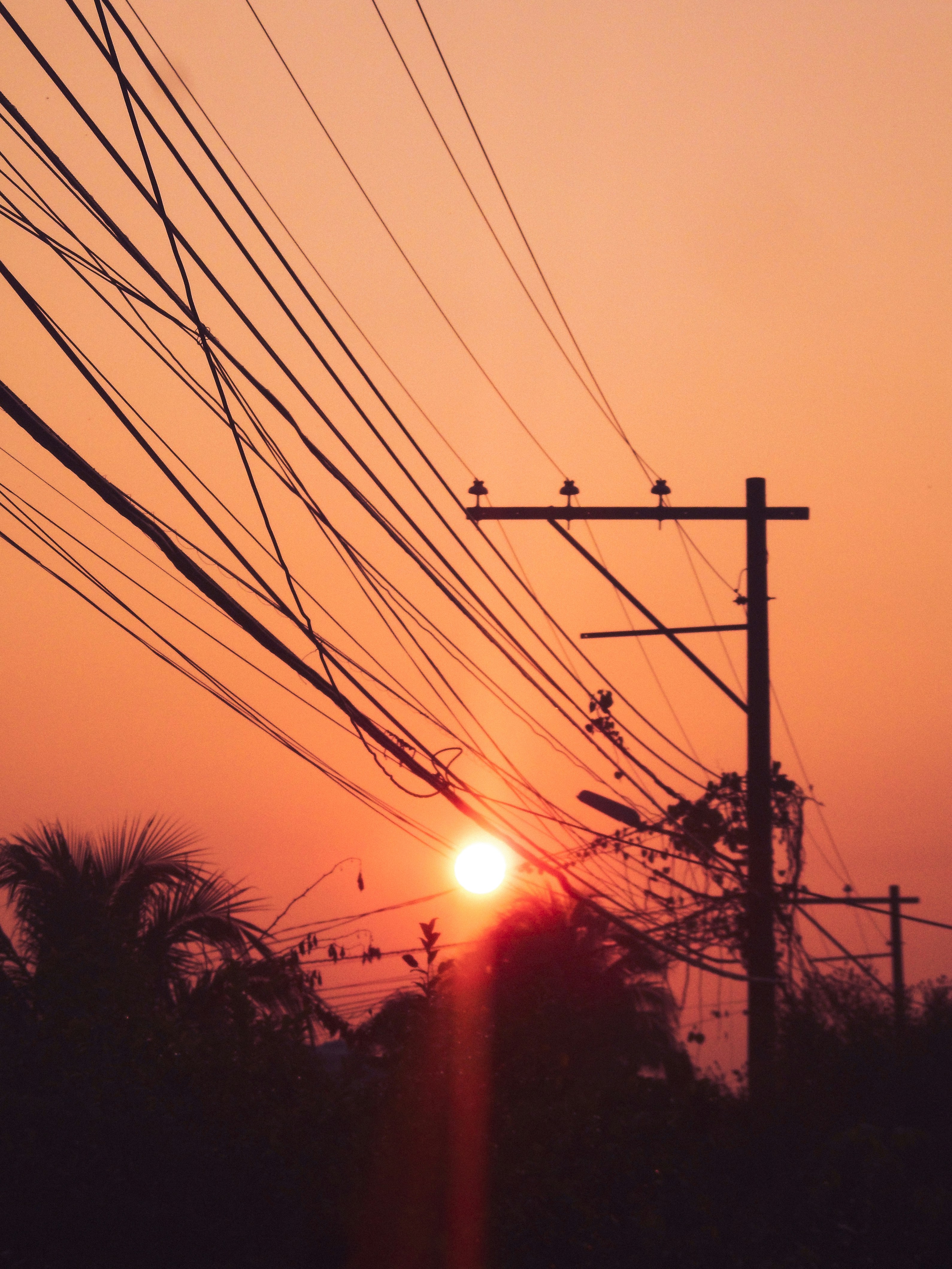 Photo by andrewsqcriz