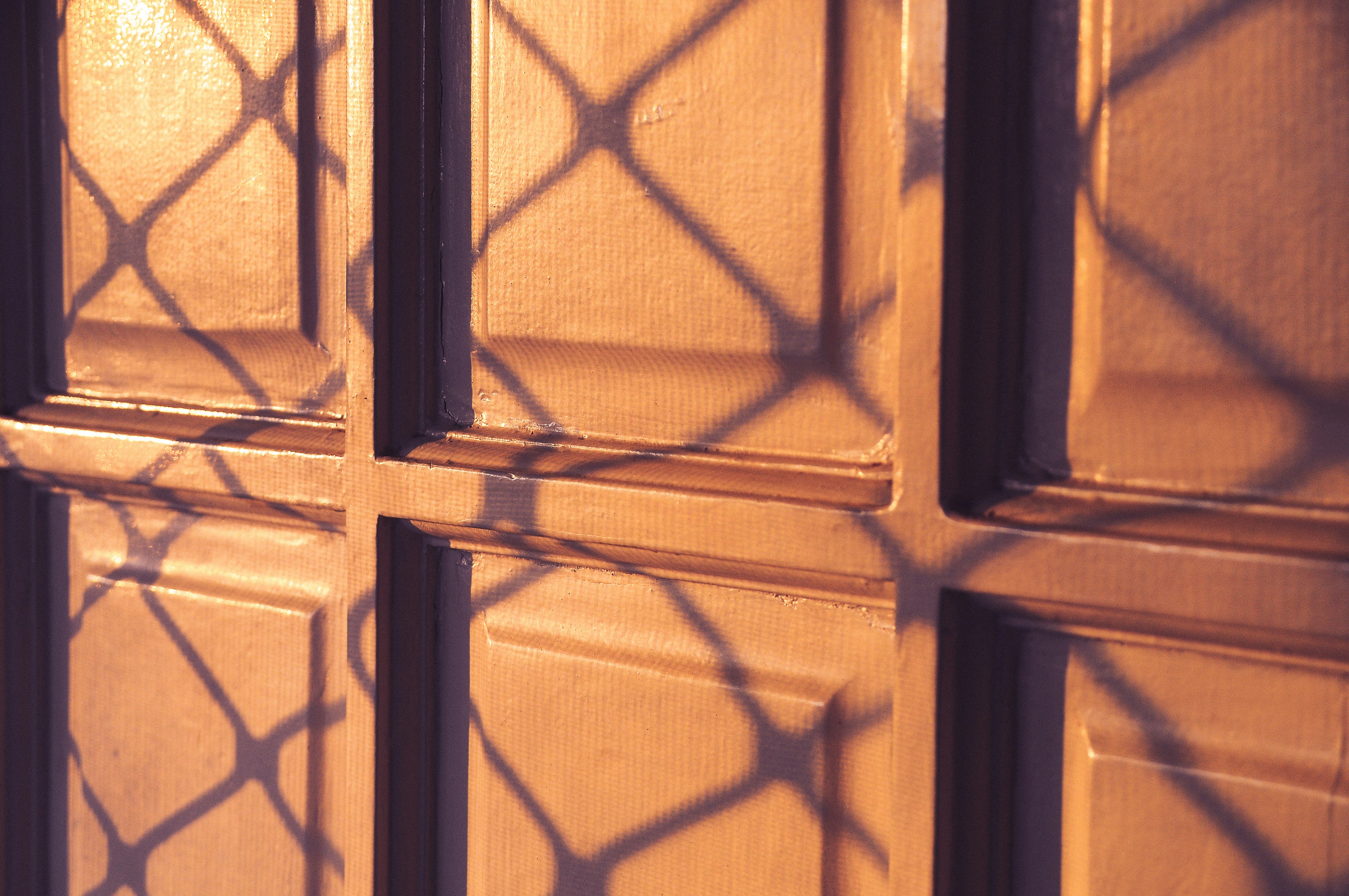 Photo by andrewsqcriz