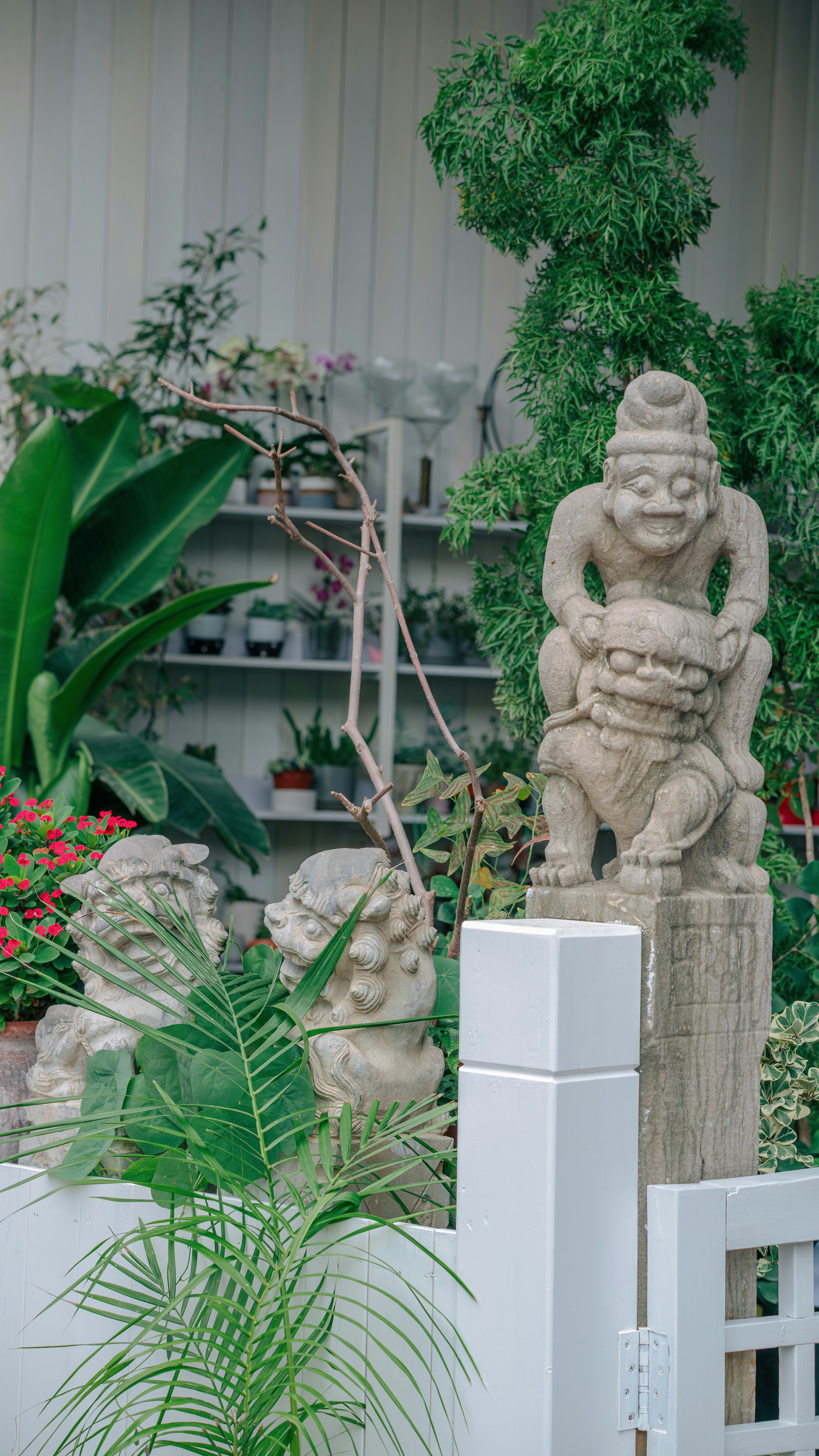 Photo by wangbinghua