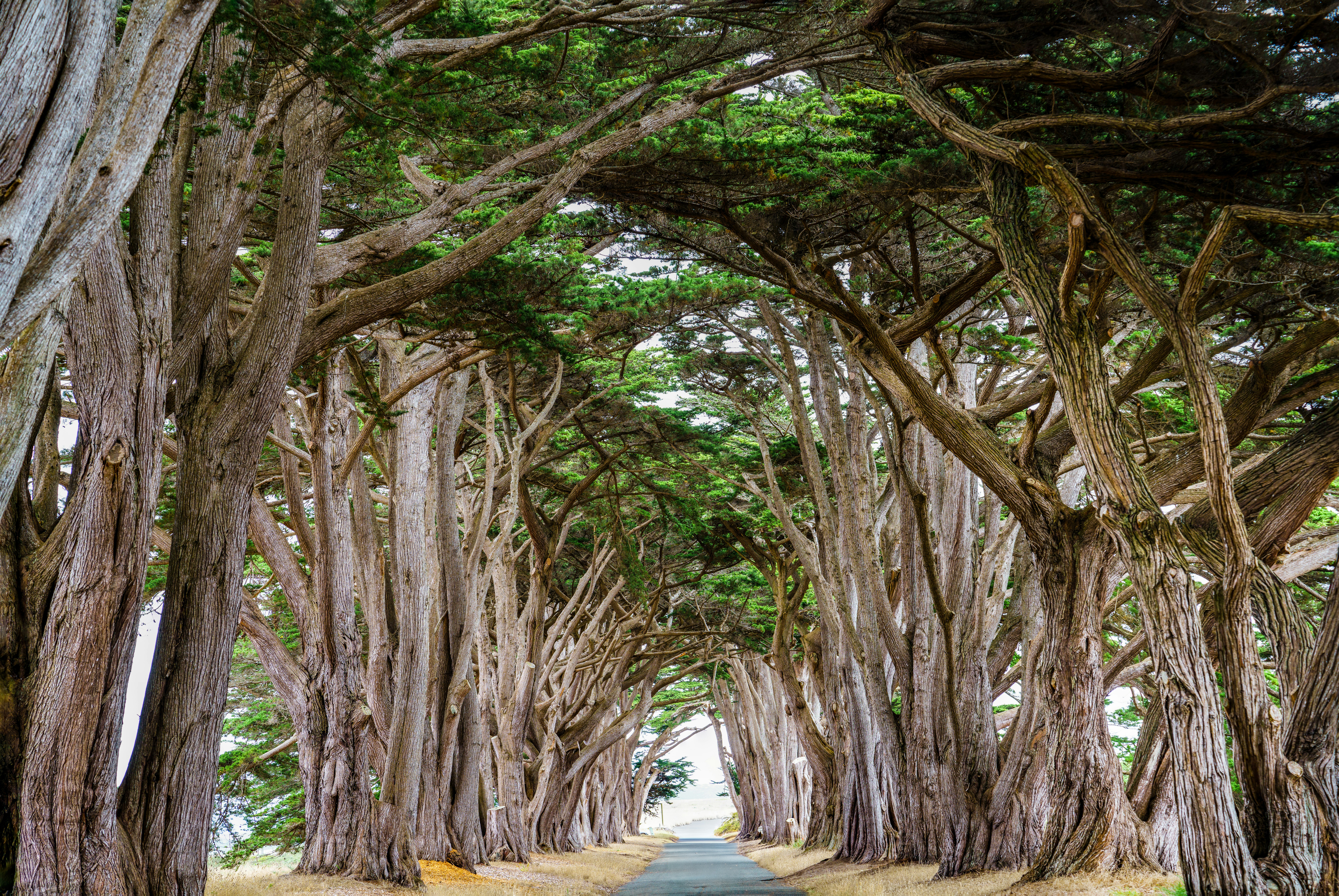 Photo by happy_pixel