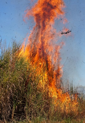 A large fire is coming out of a field