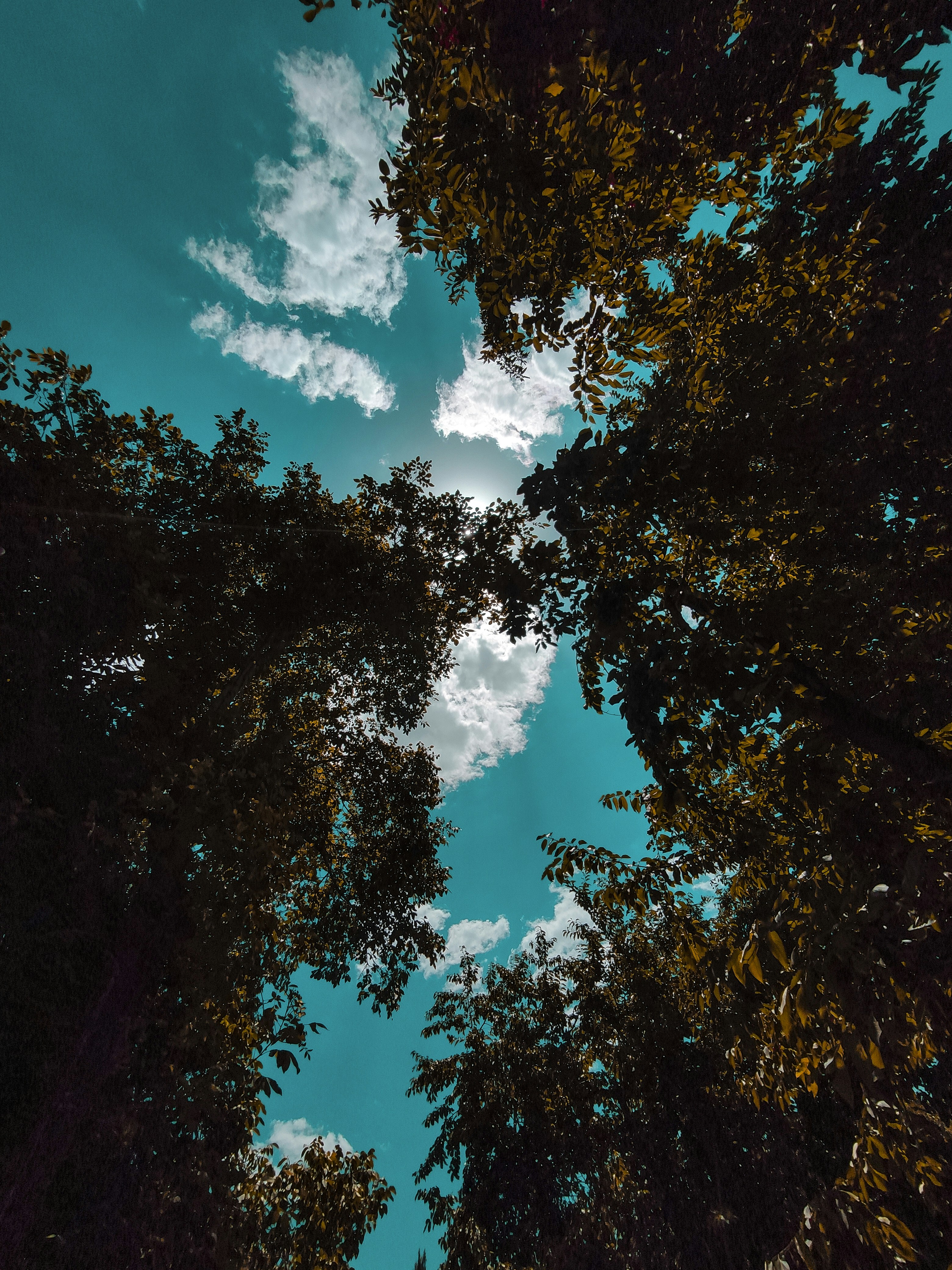 Photo by marchimilious