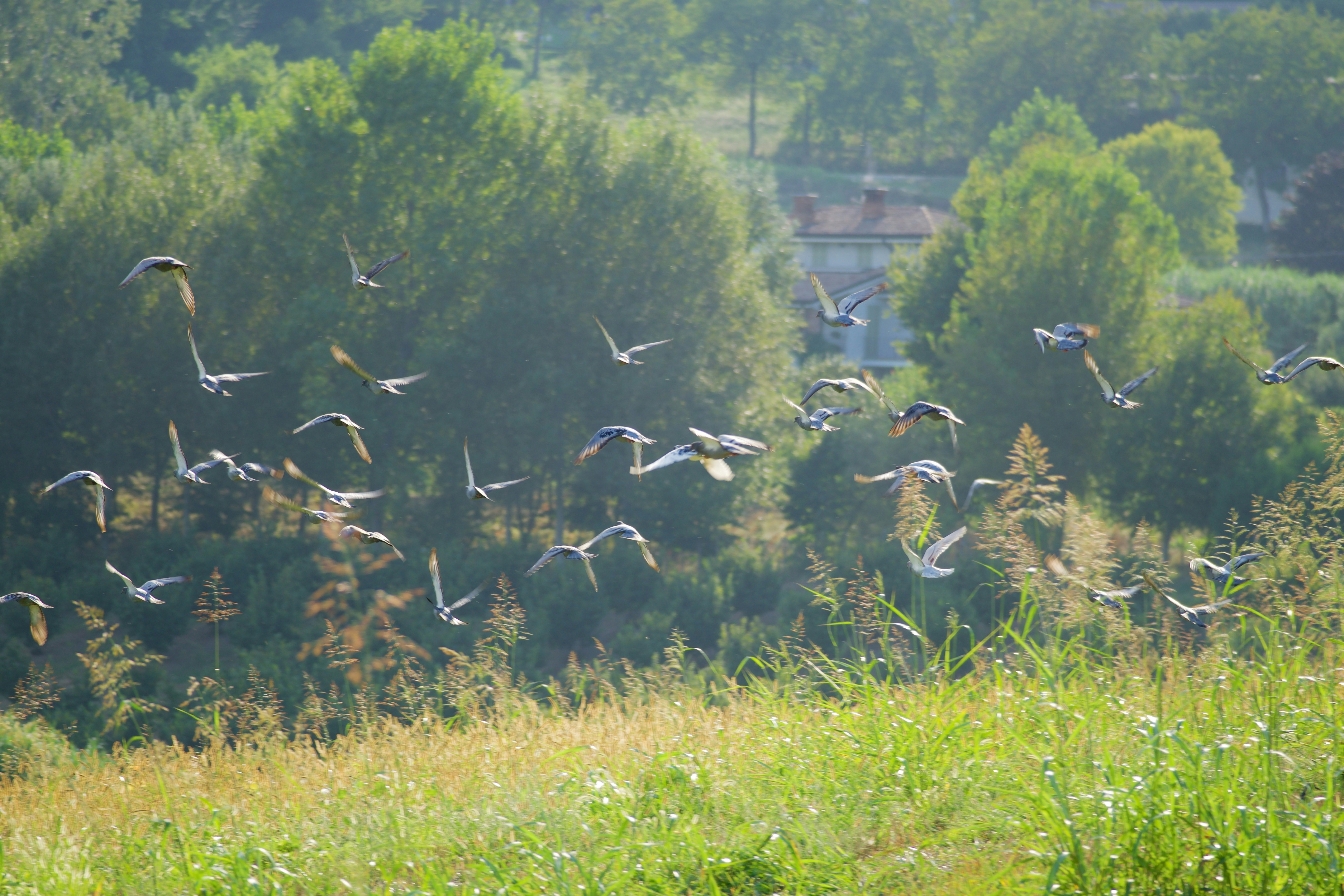 Photo by jan_zinnbauer