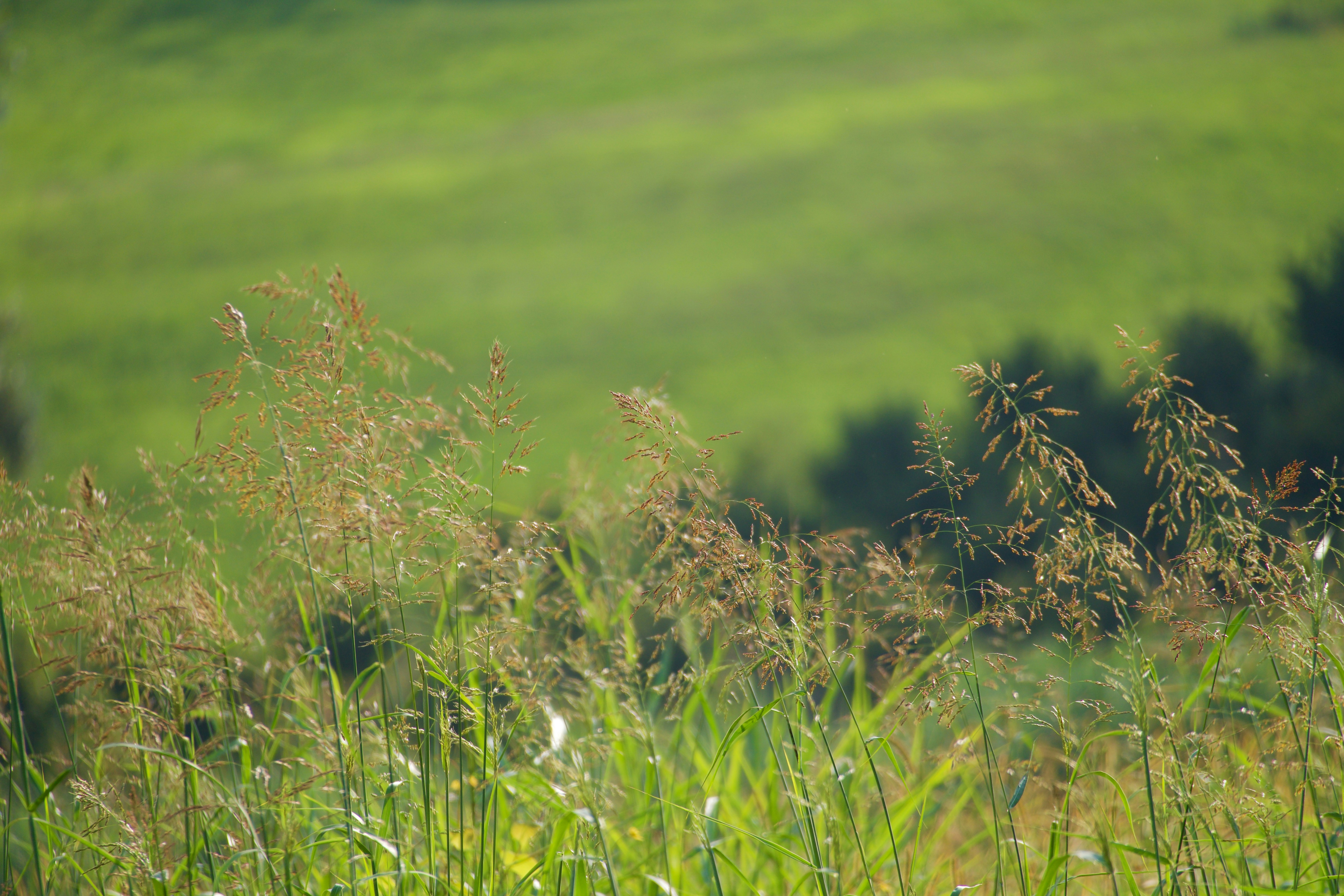 Photo by jan_zinnbauer