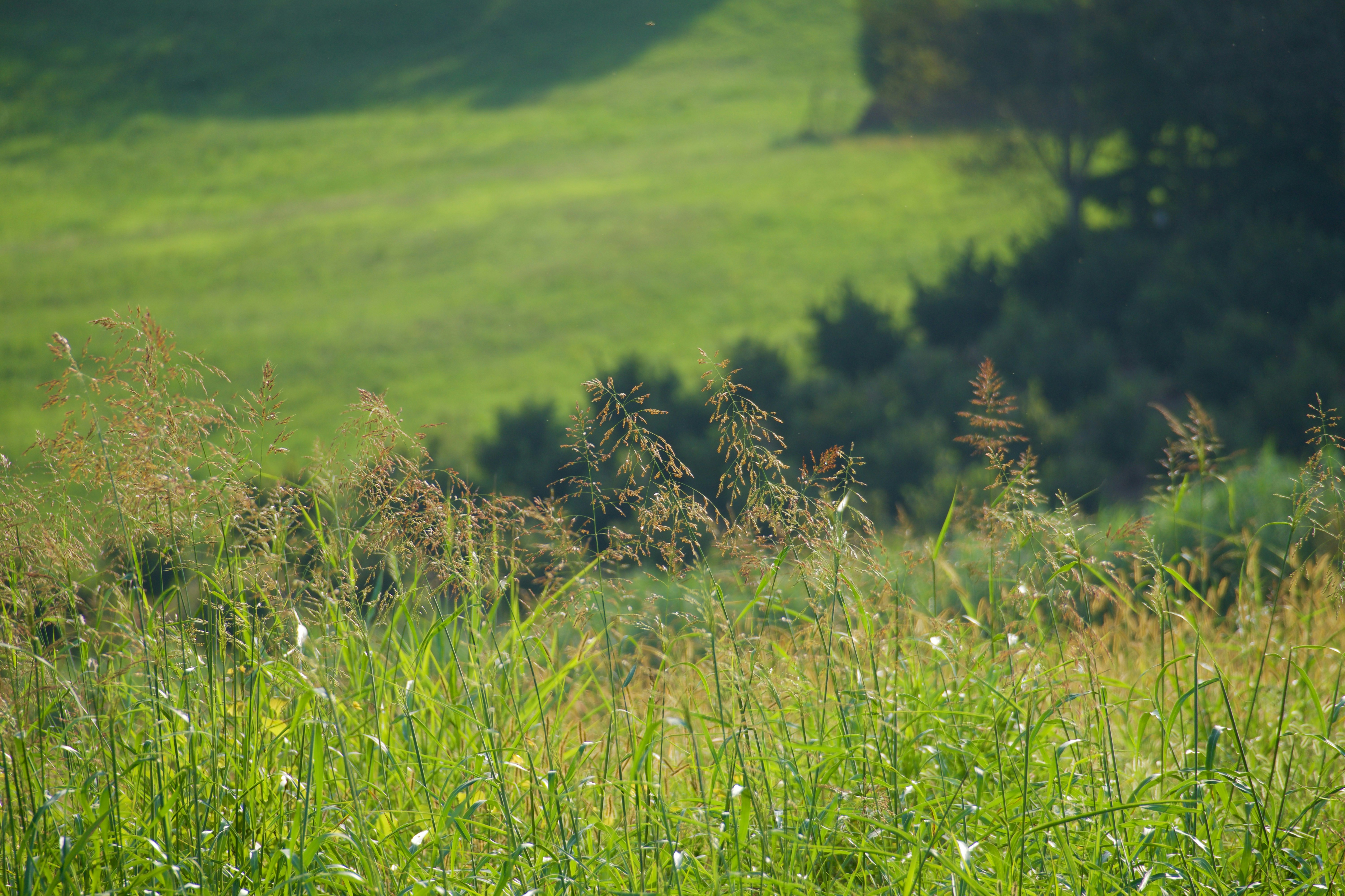 Photo by jan_zinnbauer