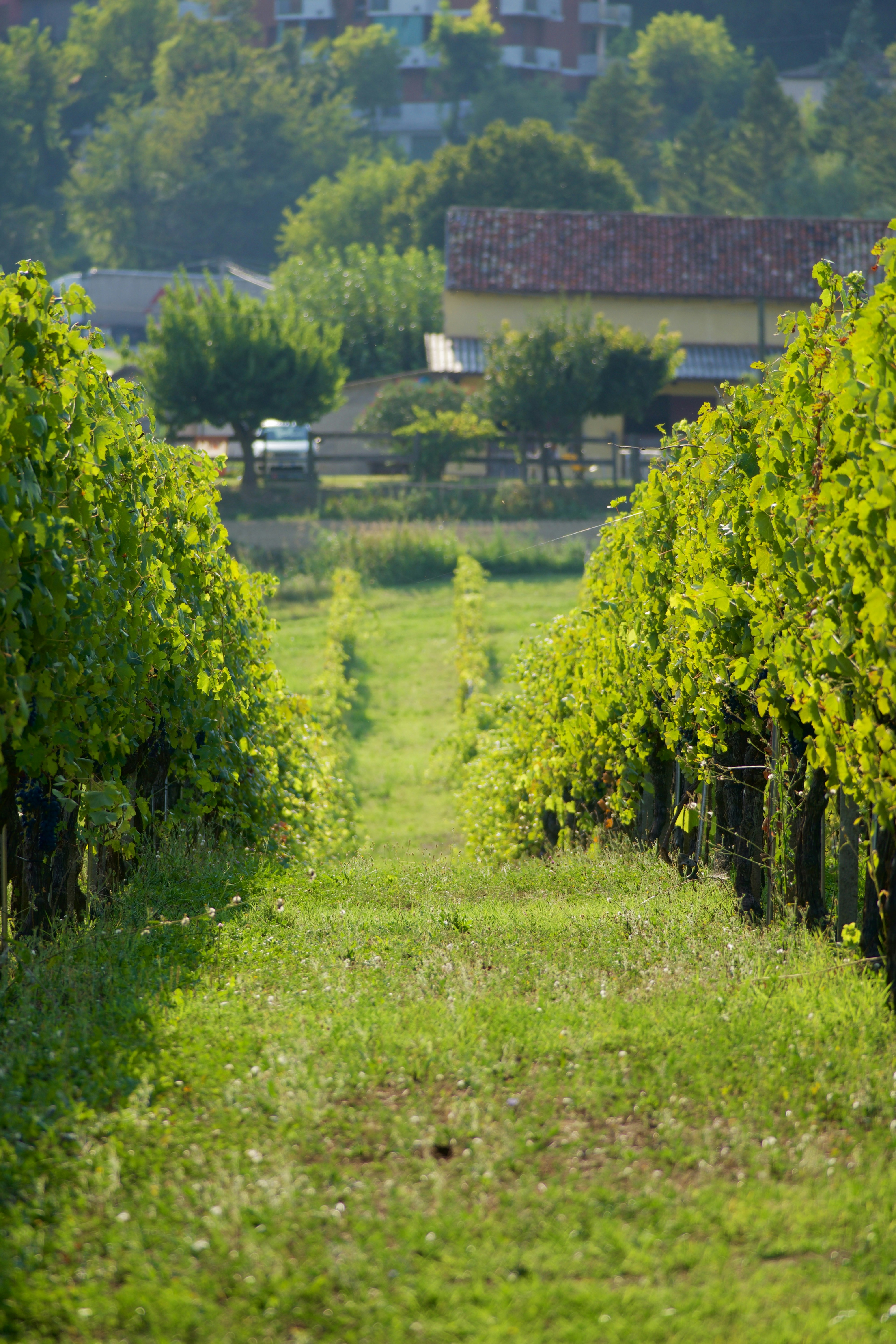 Photo by jan_zinnbauer