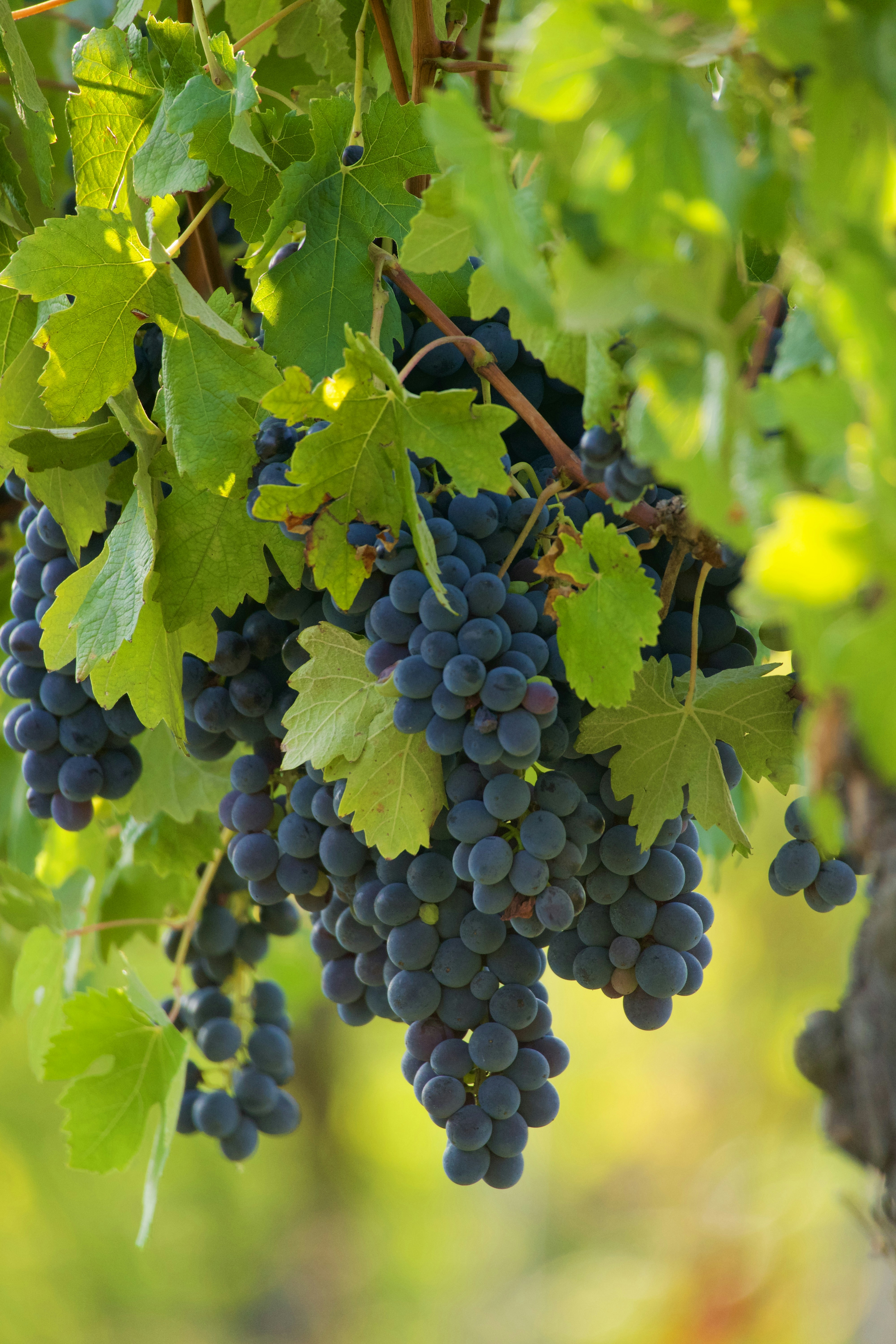 Photo by jan_zinnbauer