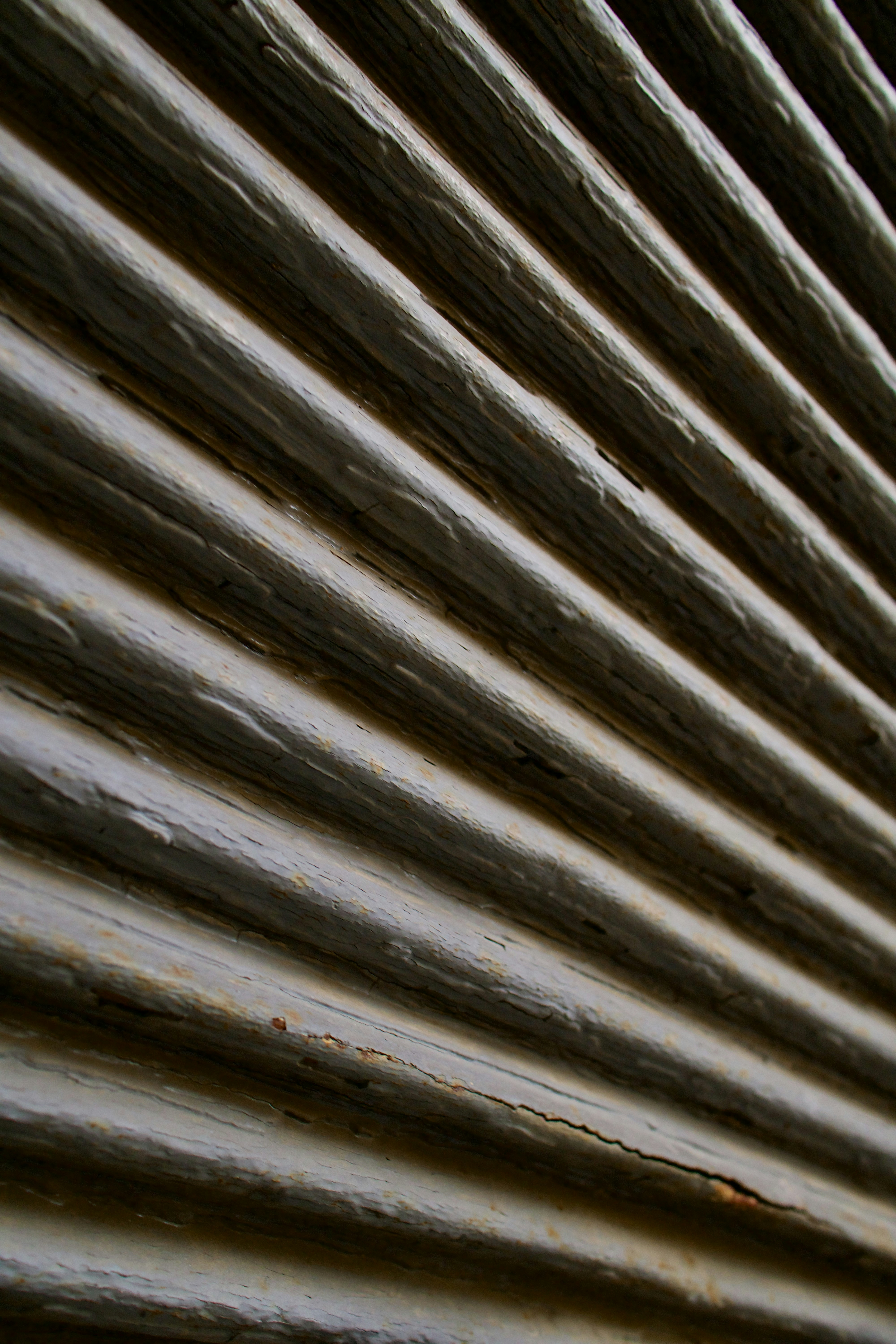 Photo by jan_zinnbauer