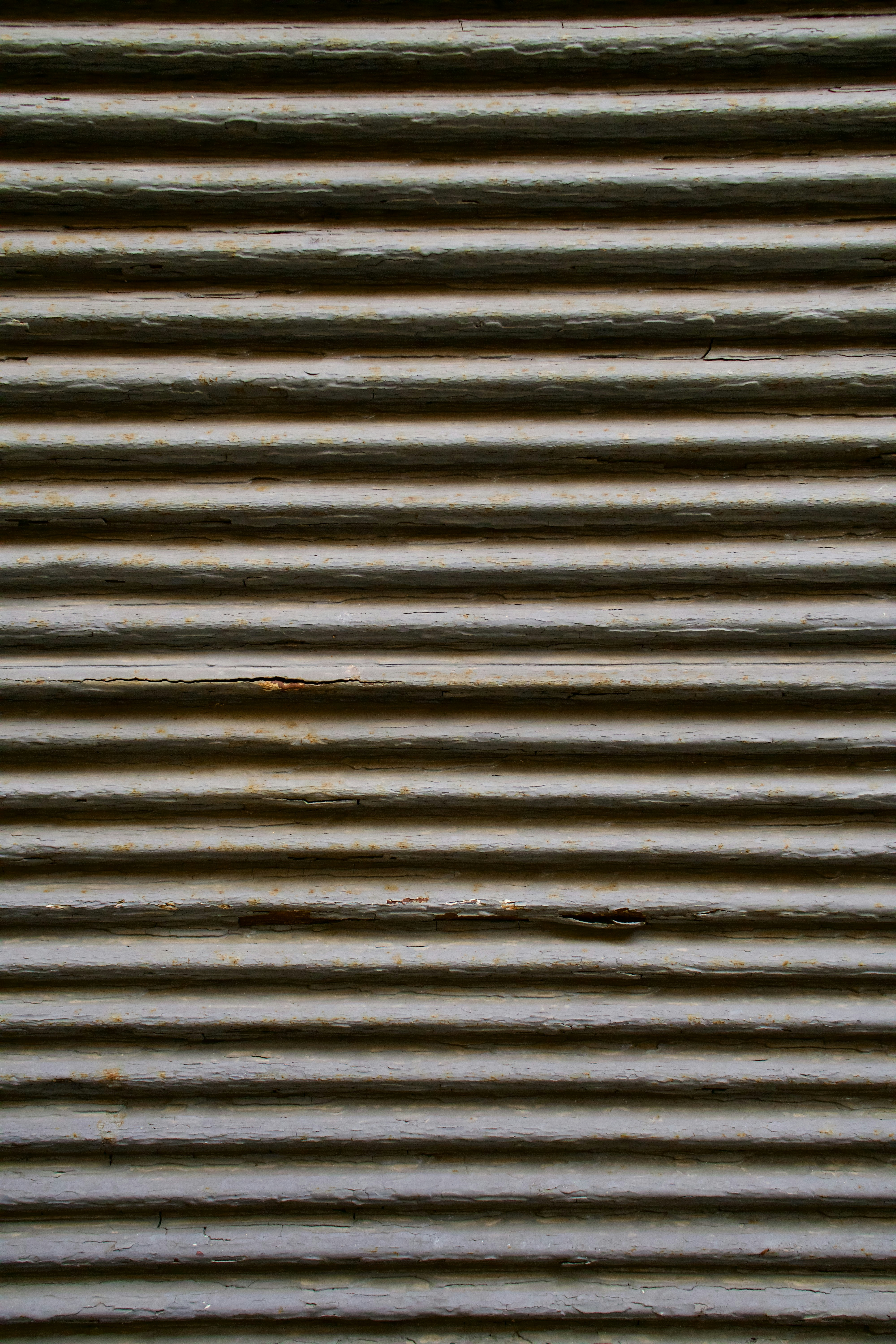 Photo by jan_zinnbauer