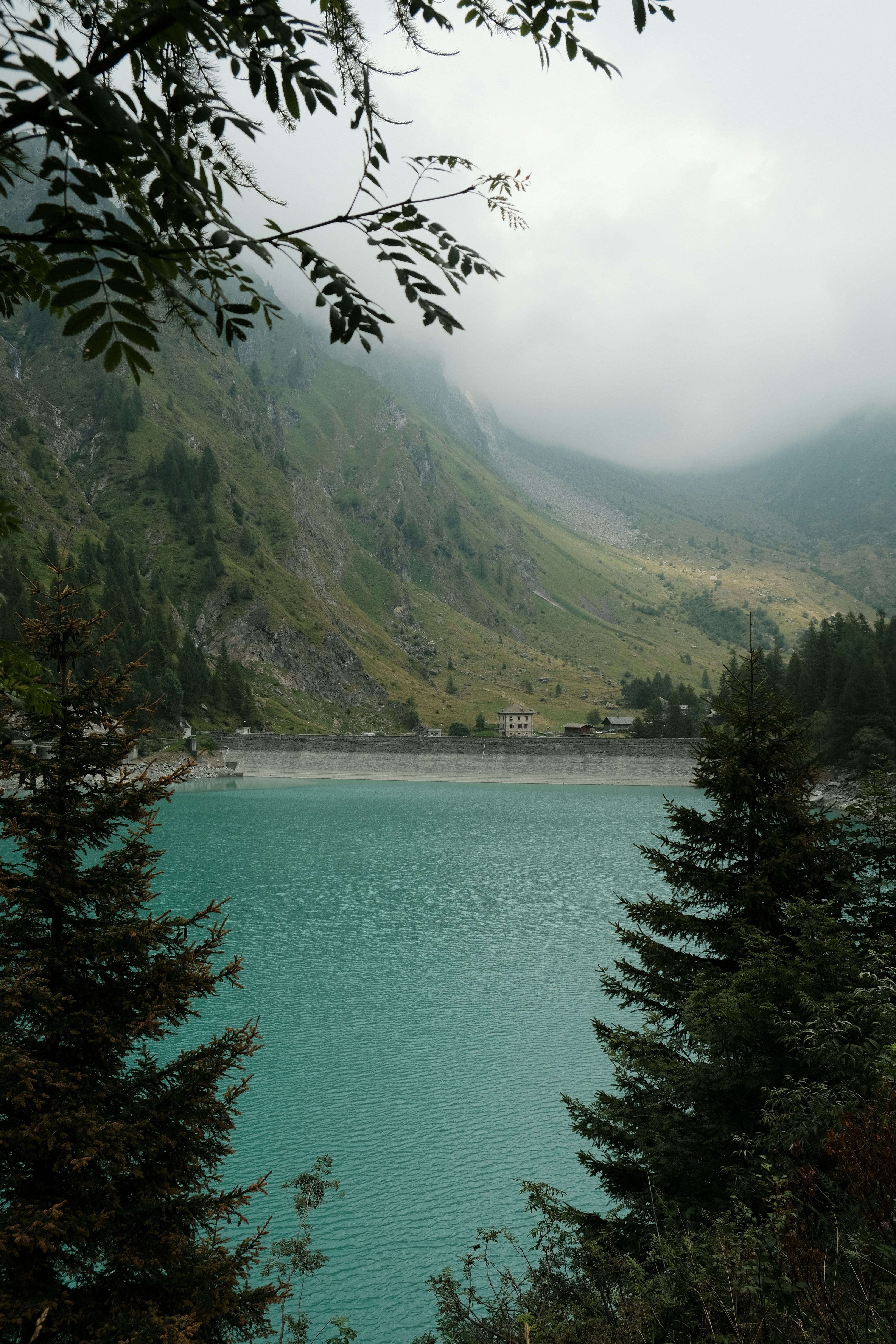A large body of water surrounded by trees