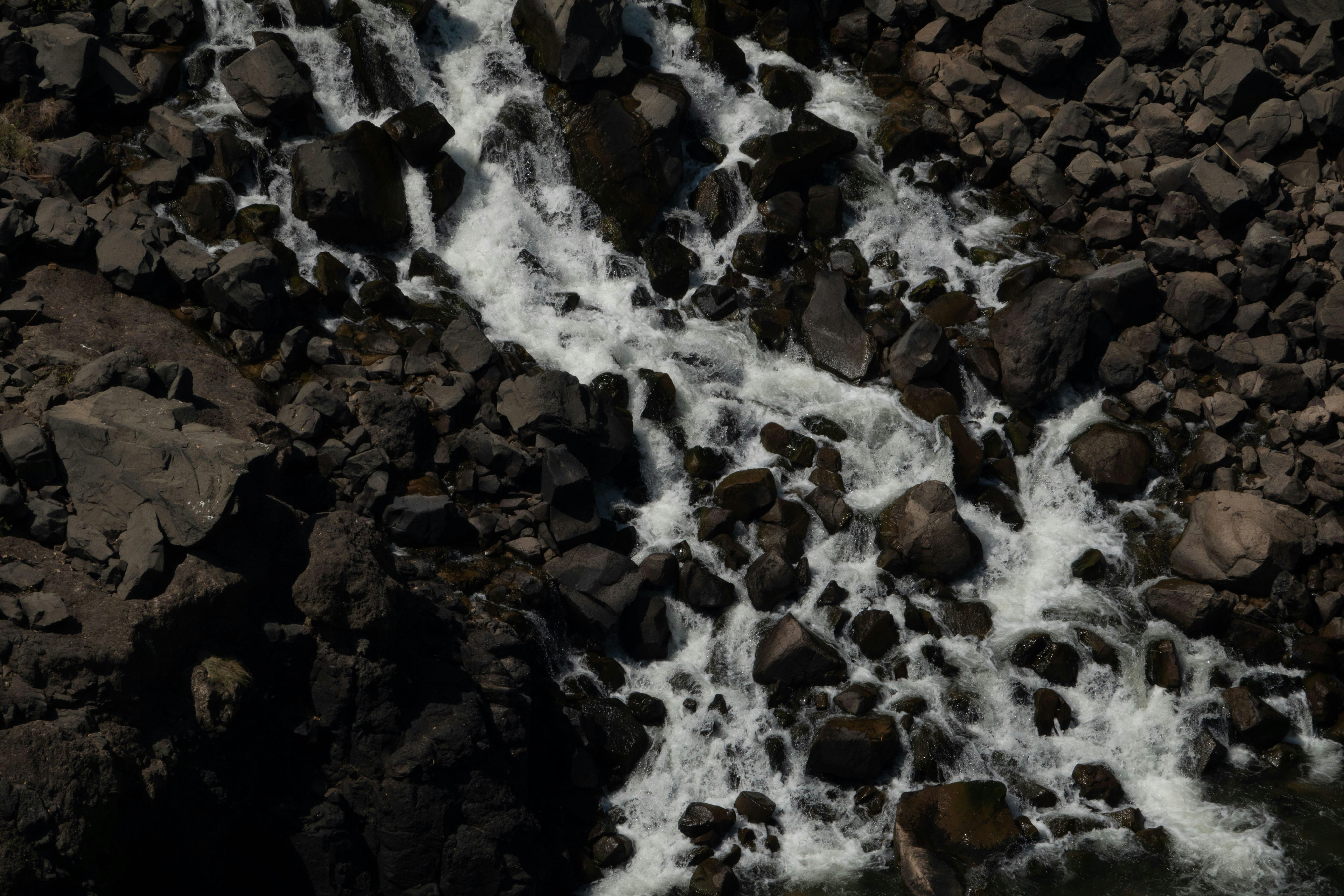 Photo by anupamapanchal