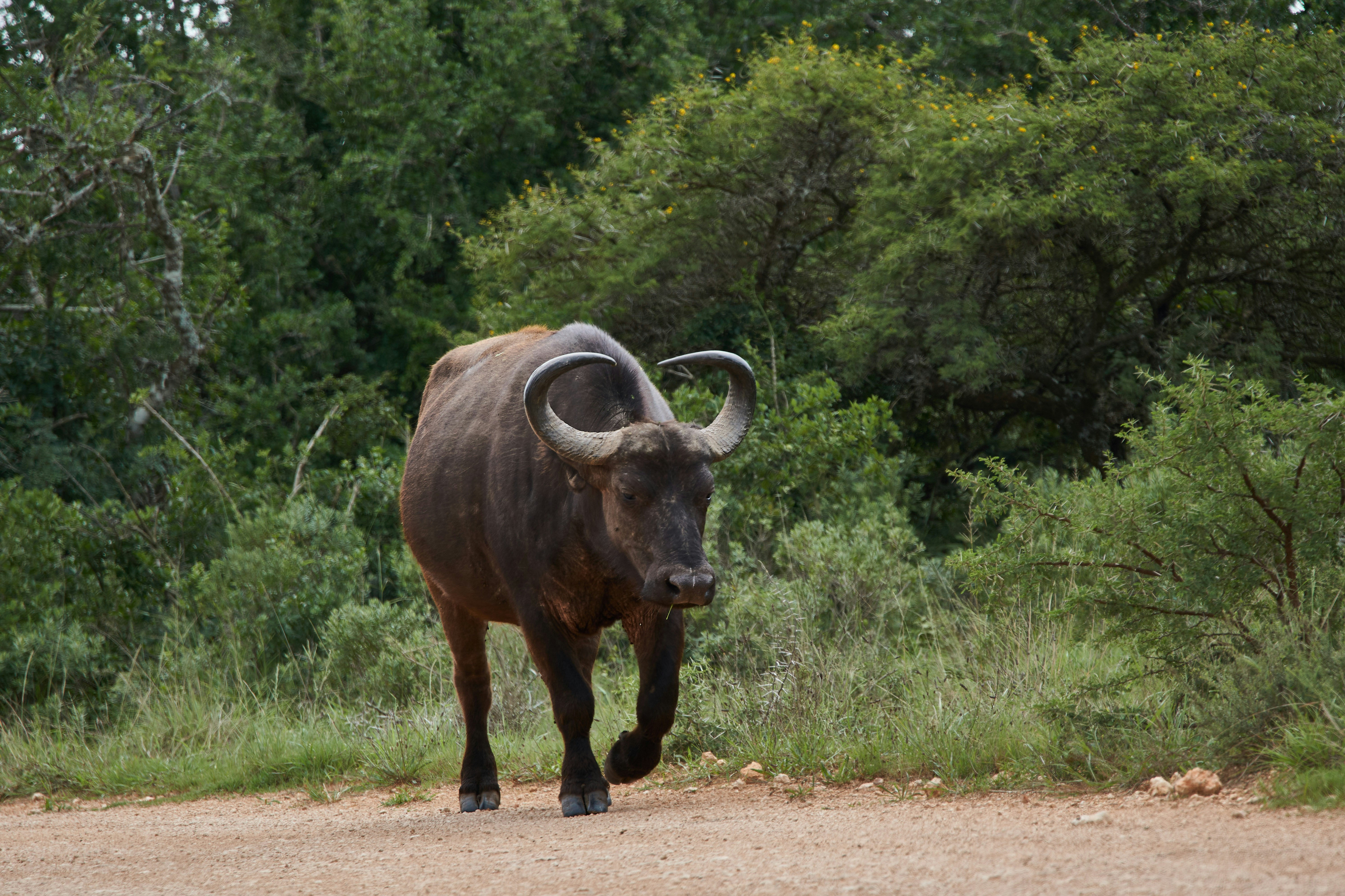 Photo by wolfgang_hasselmann