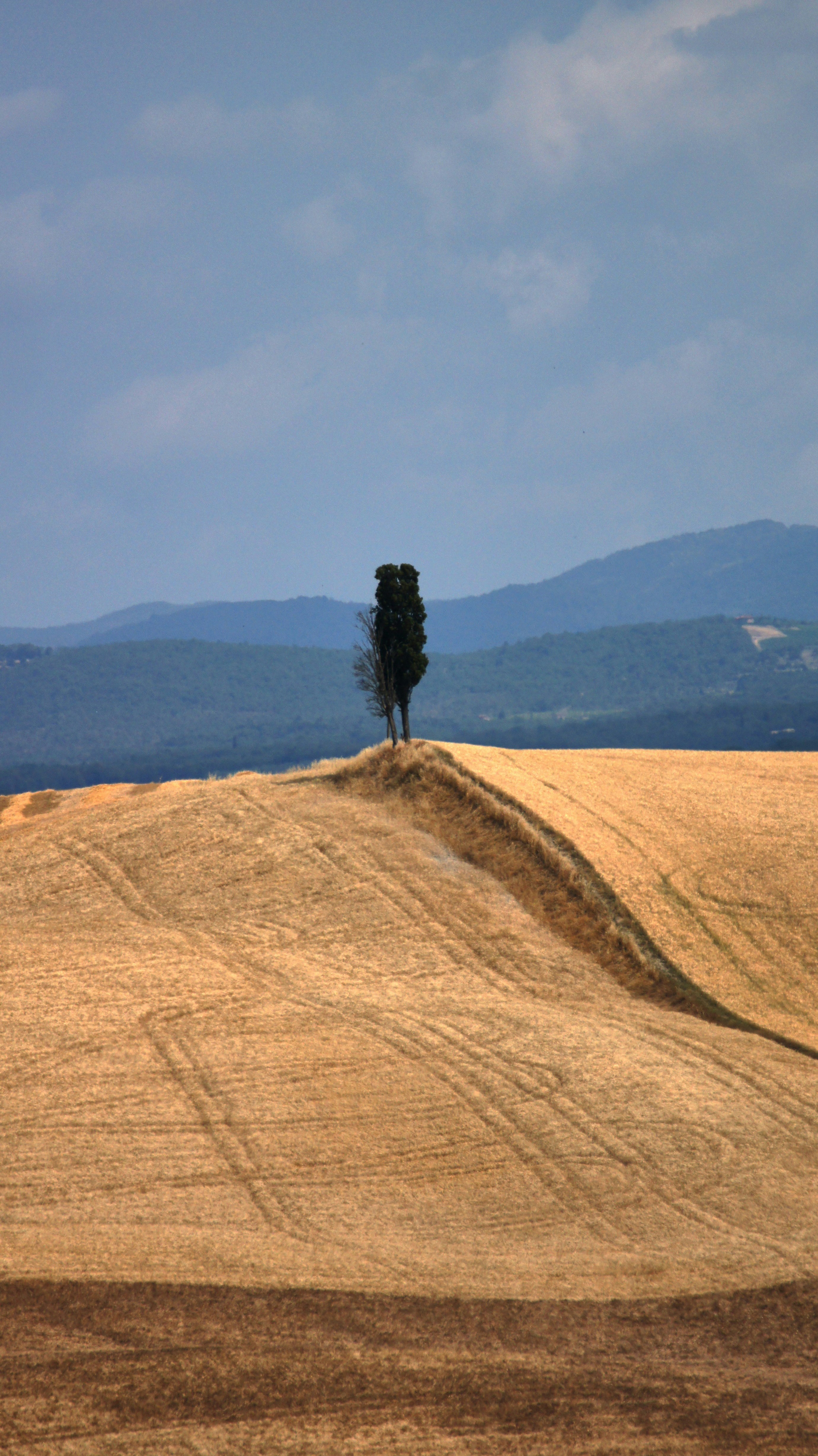 Photo by wolfgang_hasselmann