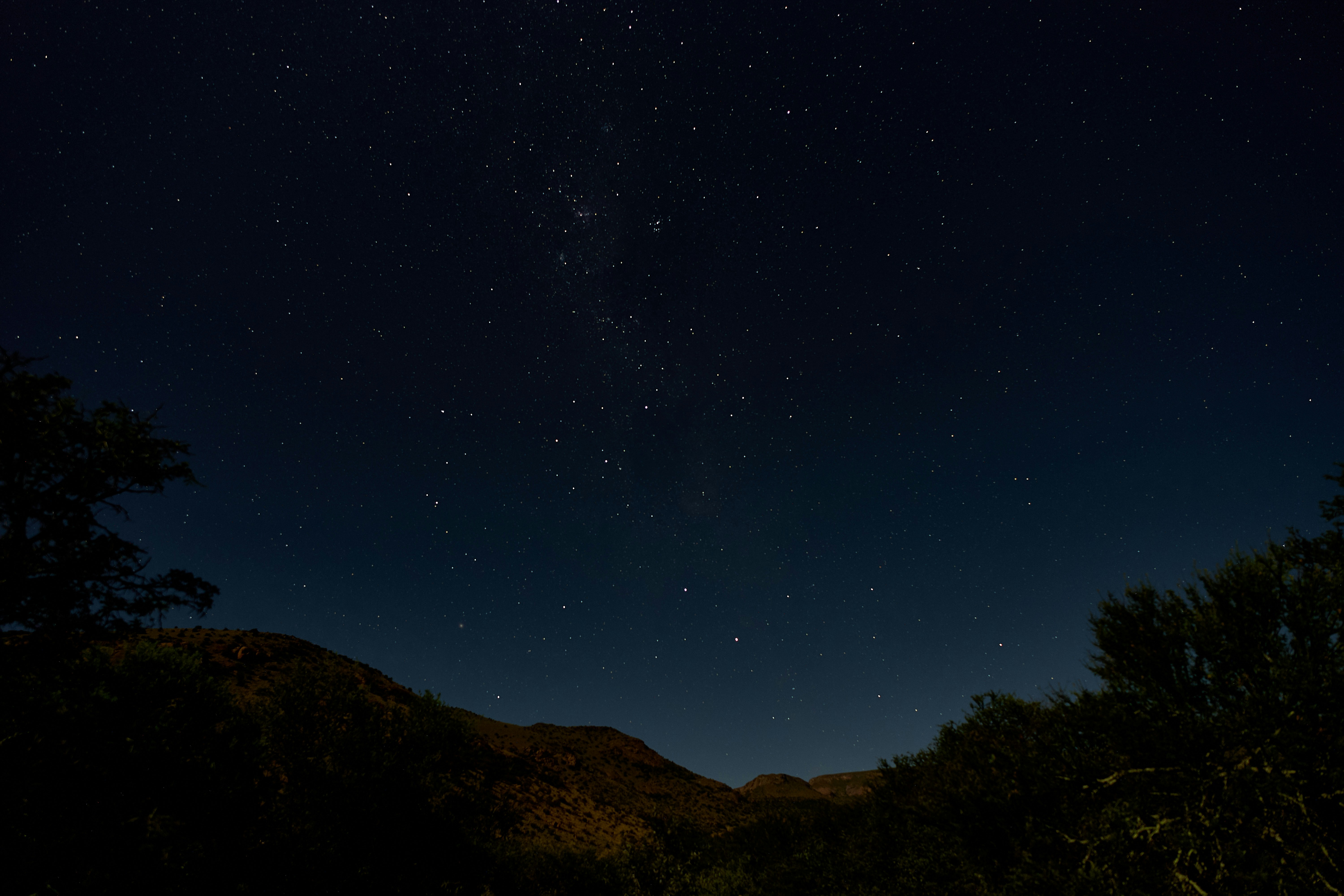 Photo by wolfgang_hasselmann