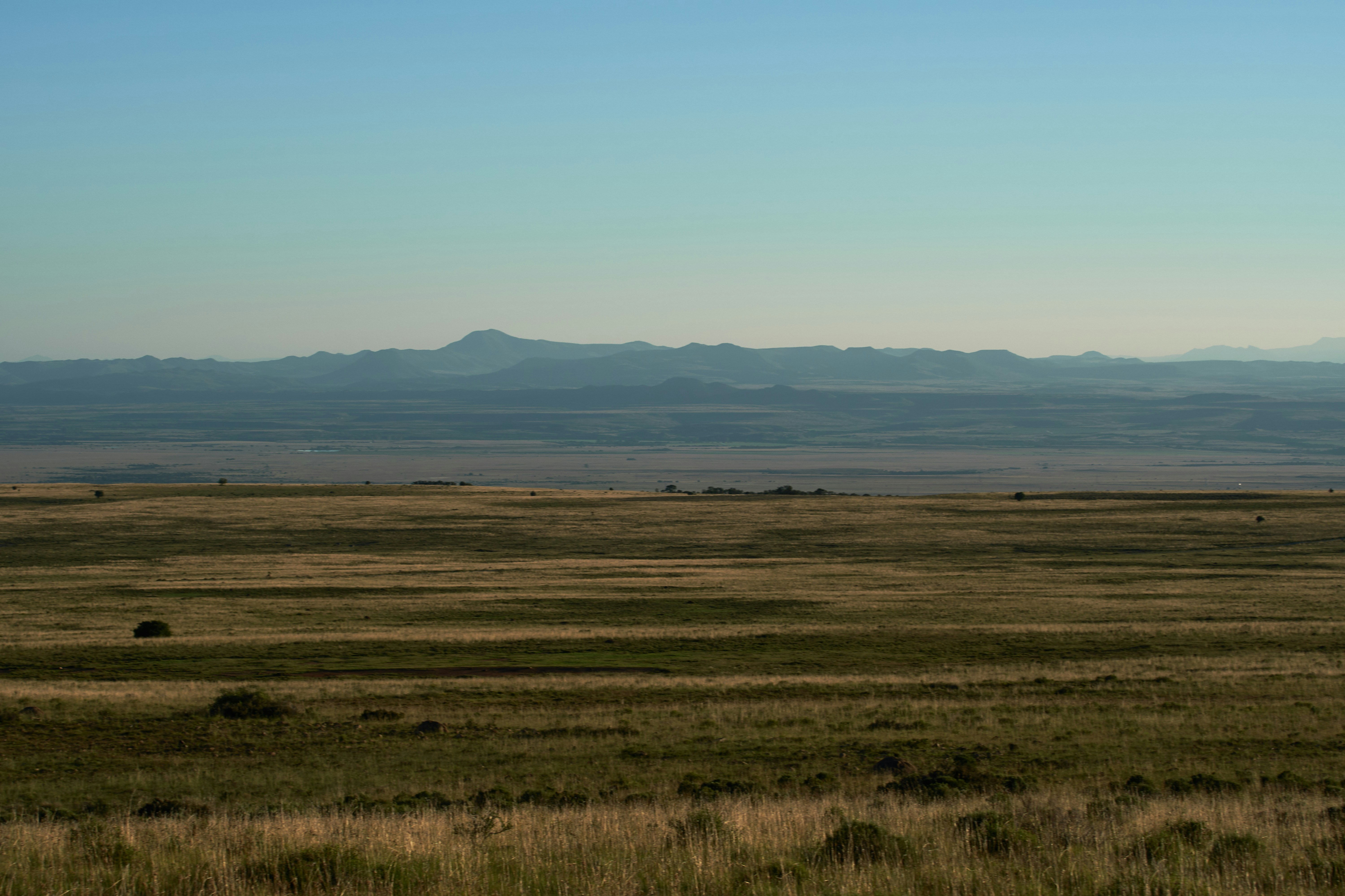 Photo by wolfgang_hasselmann