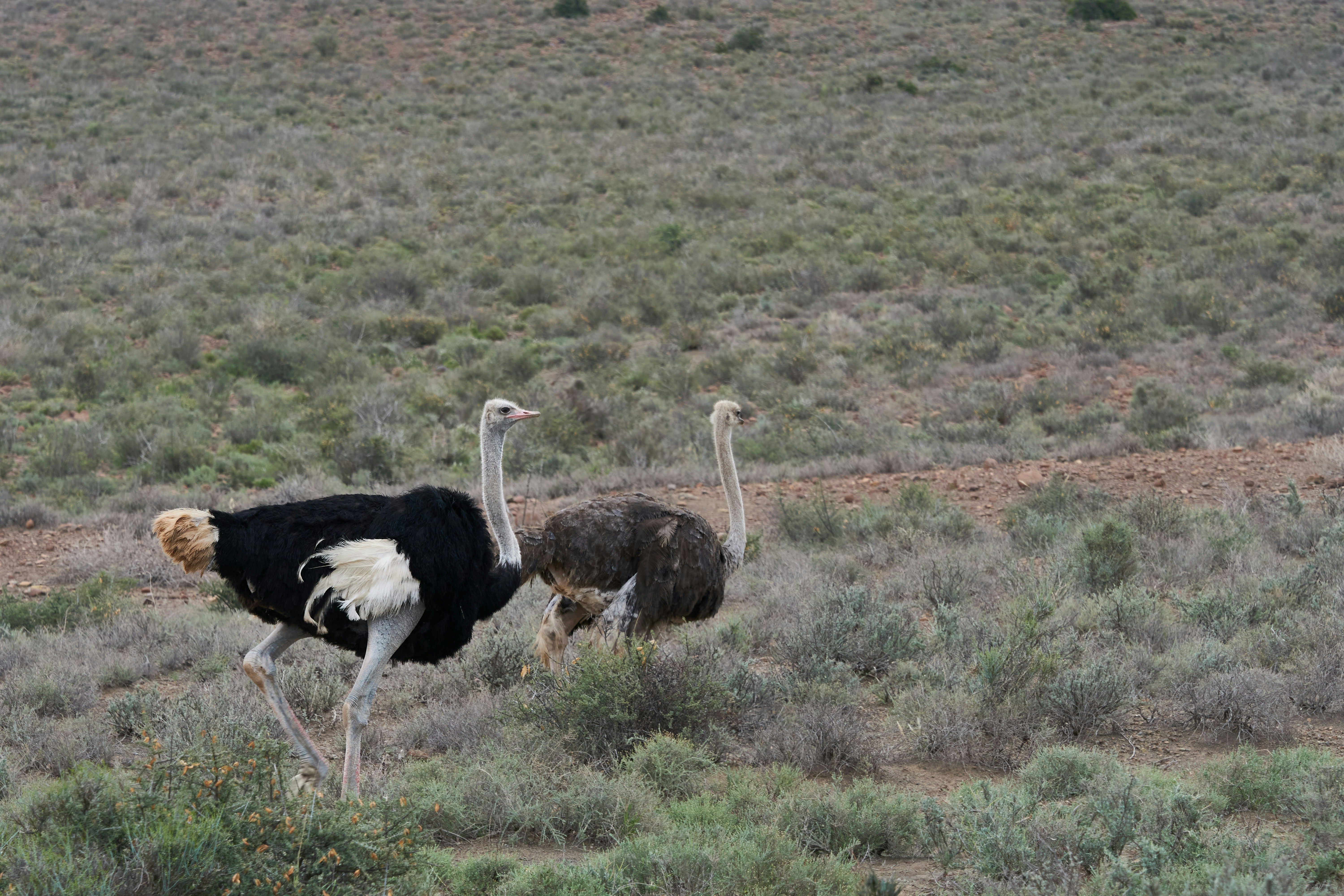 Photo by wolfgang_hasselmann