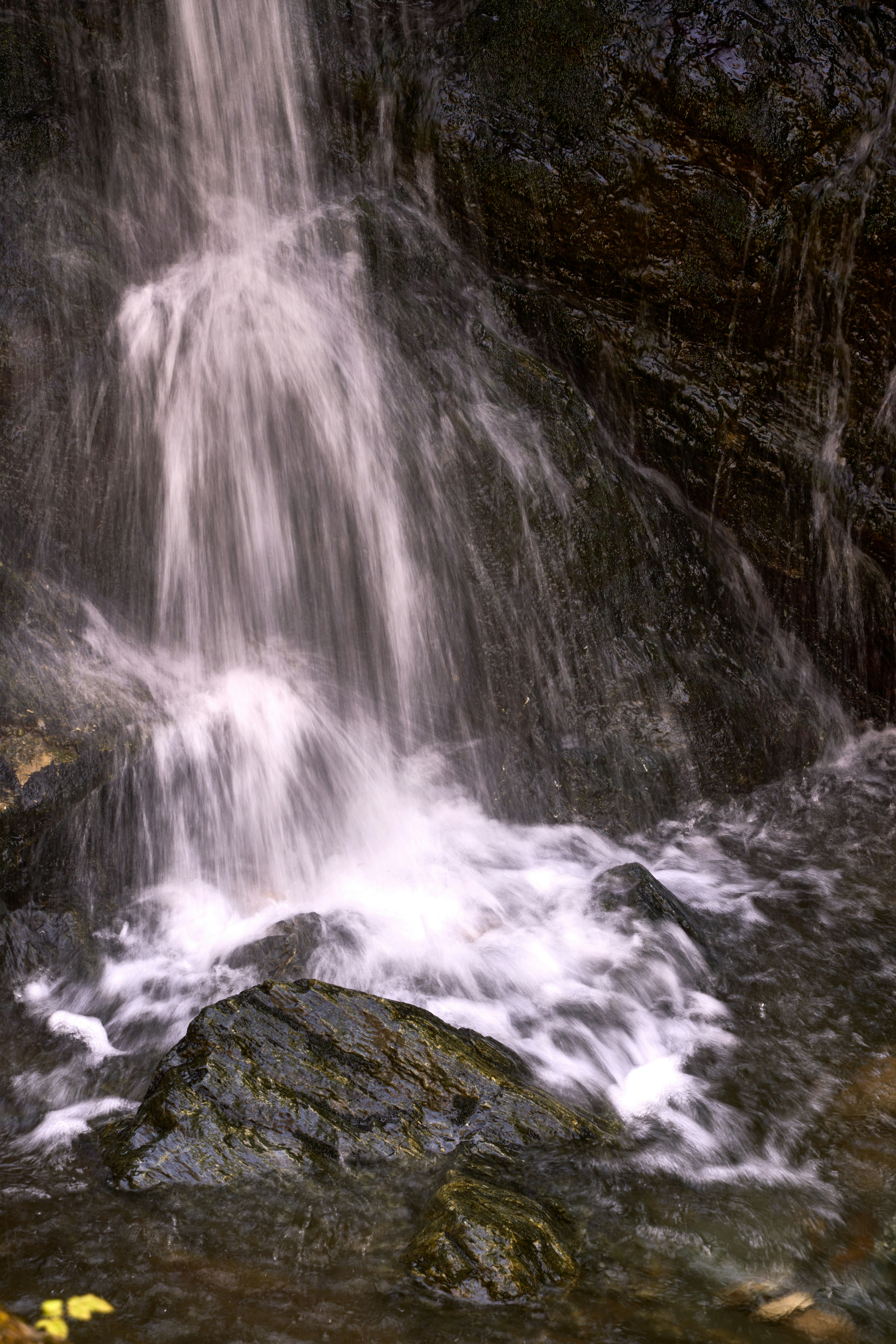 Photo by wolfgang_hasselmann