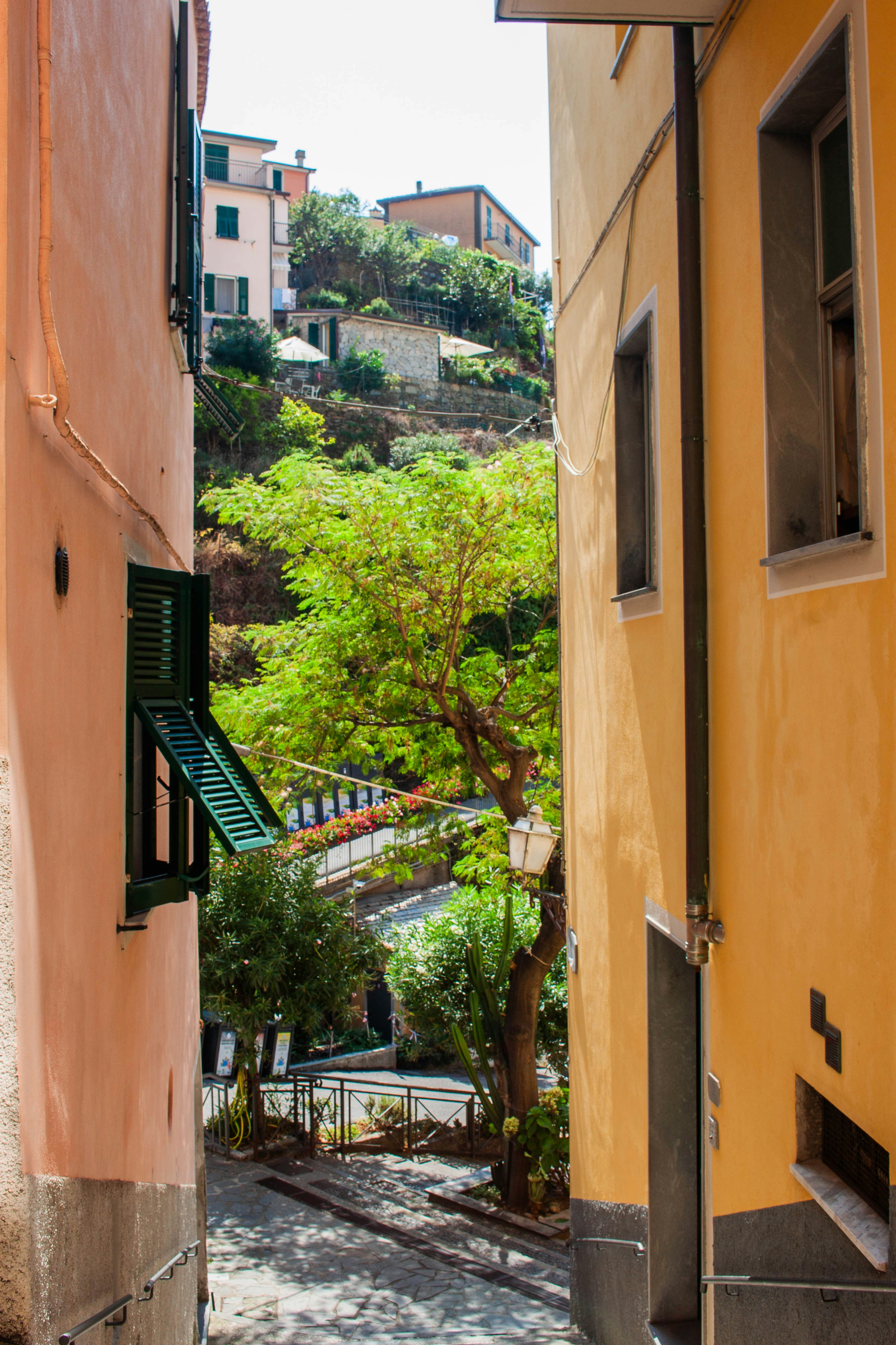 Photo by kamillaisalieva