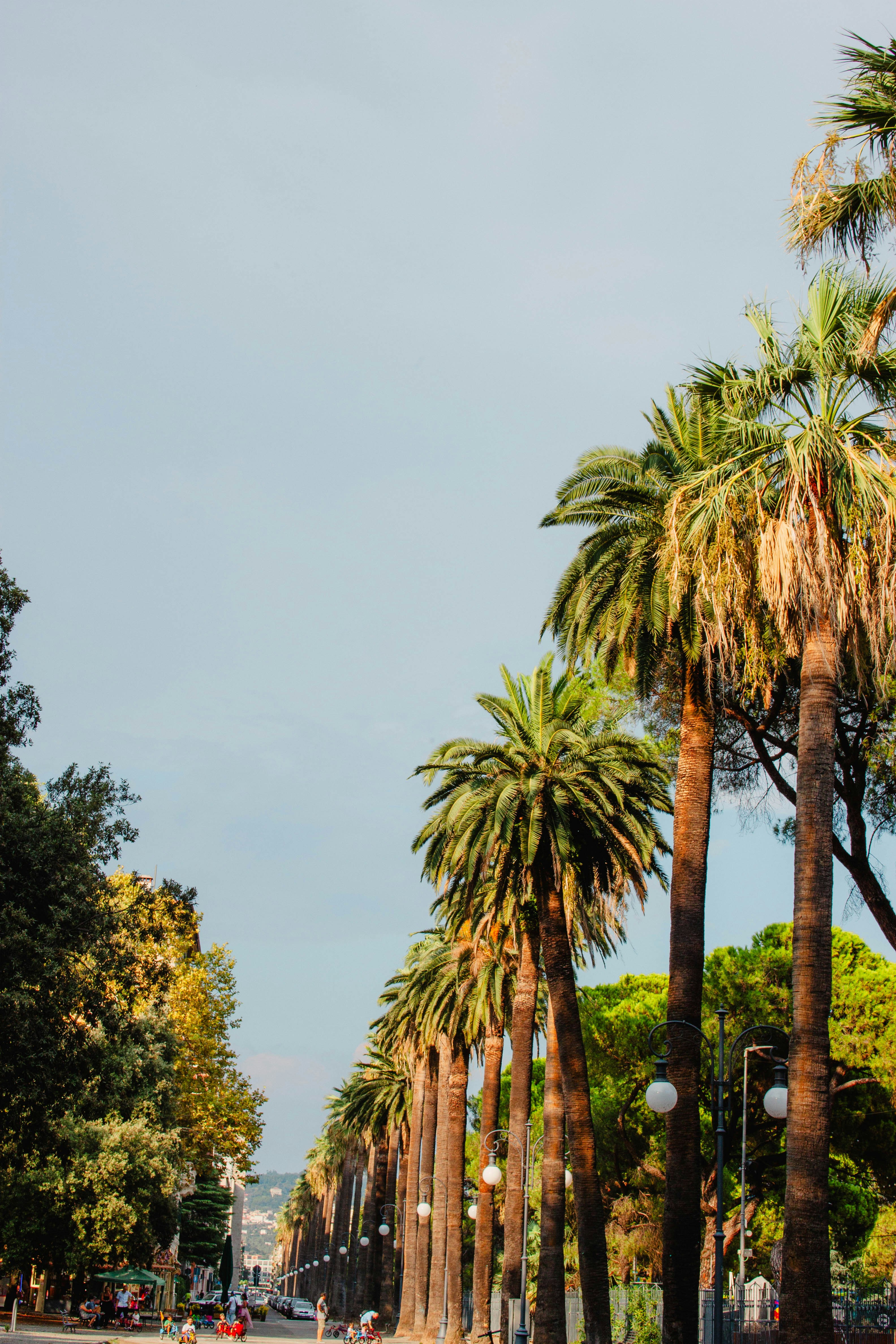 Photo by kamillaisalieva