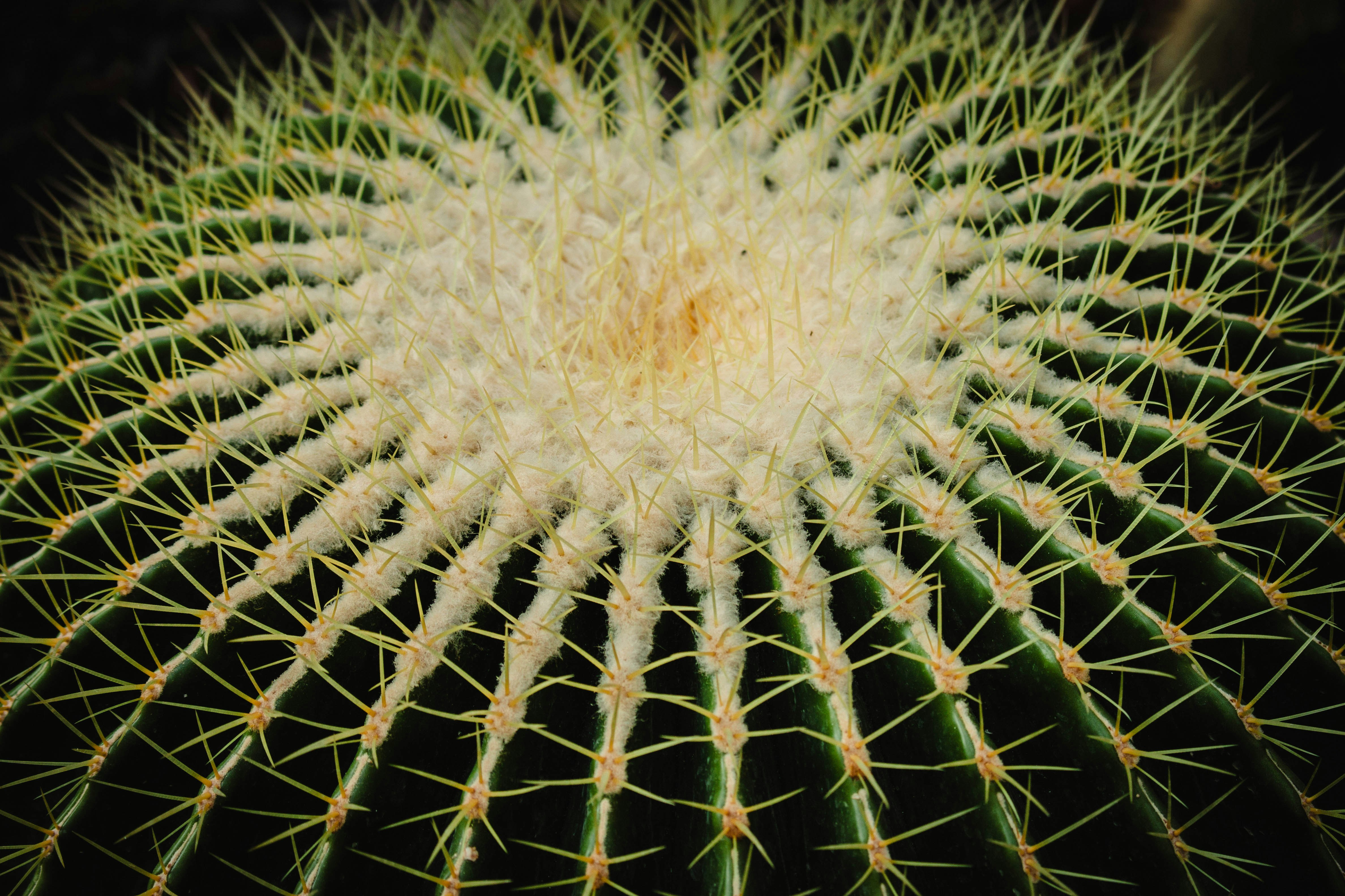 Photo by kamillaisalieva