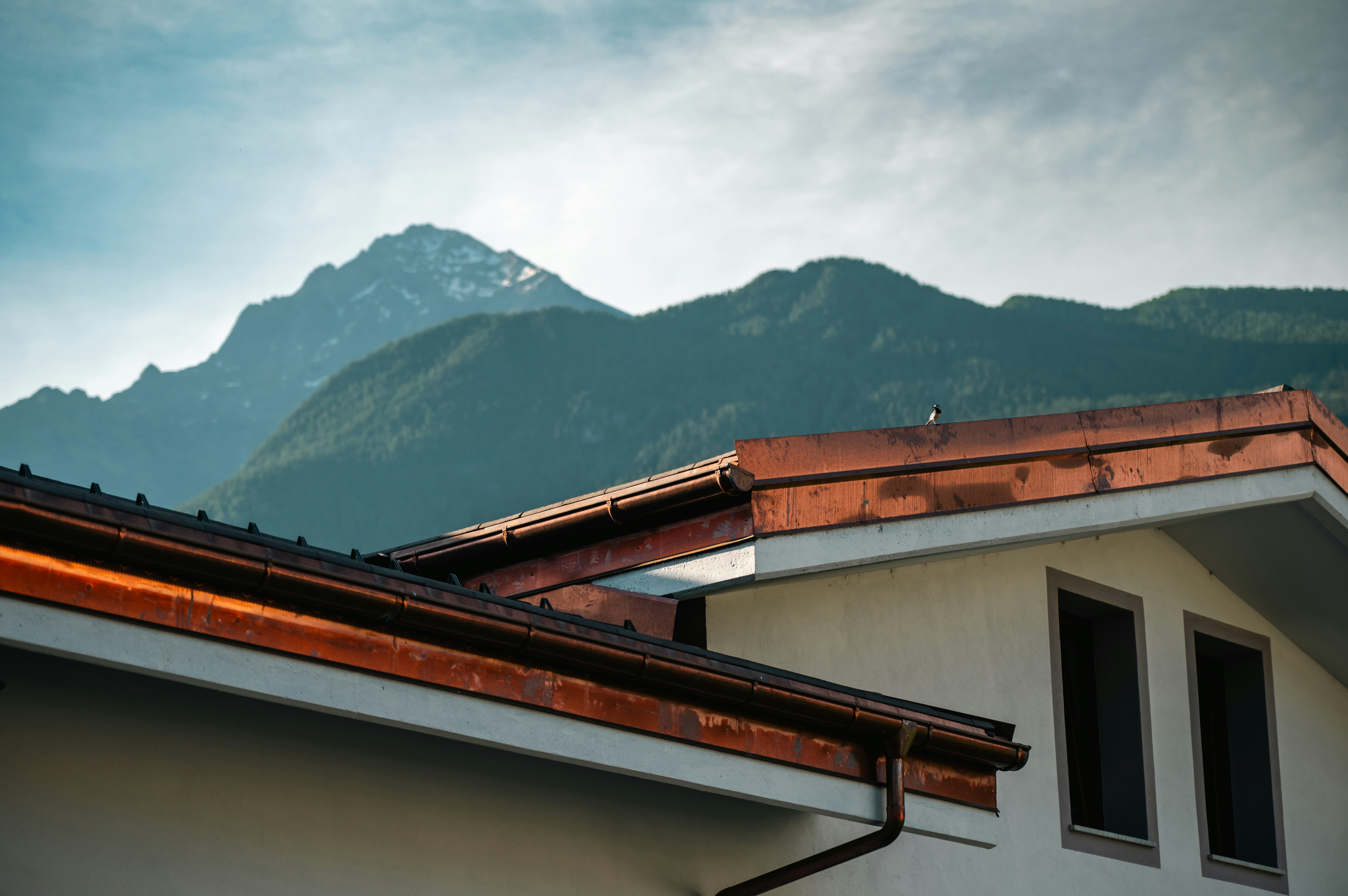 Roofing Tips That Can Really Help You Out