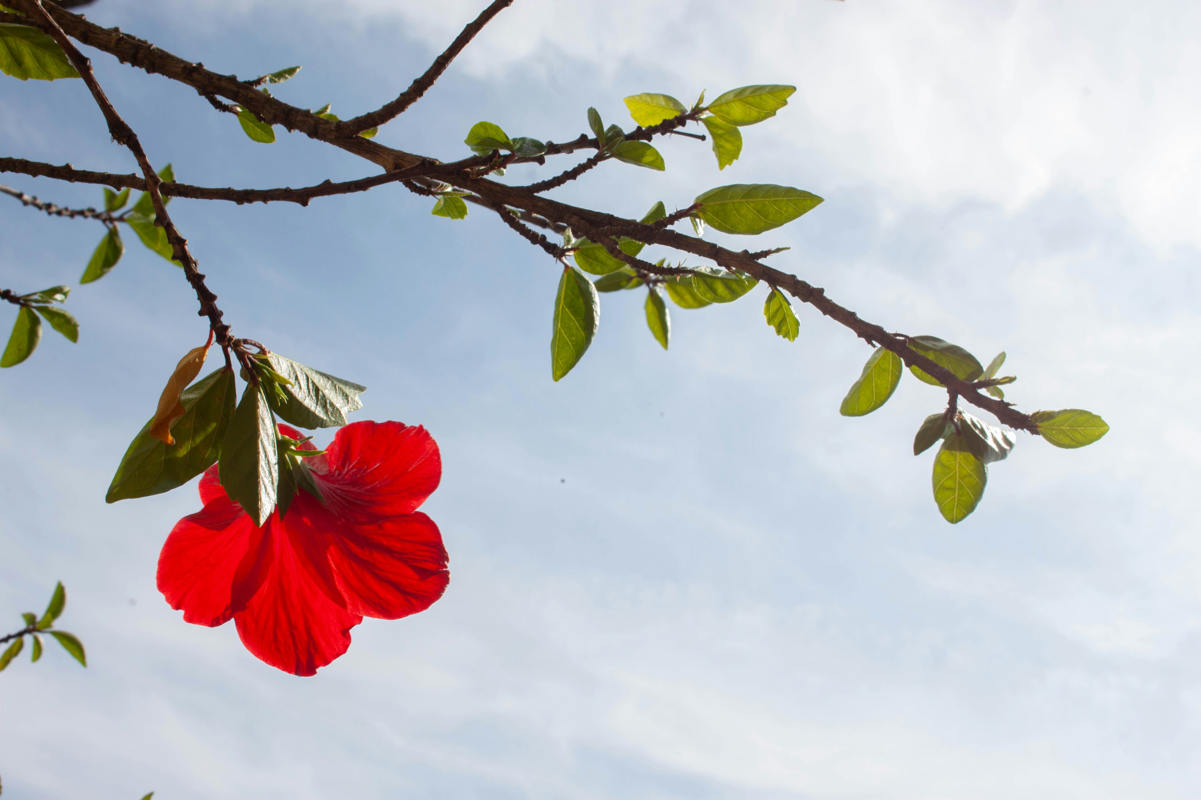 Photo by kamillaisalieva