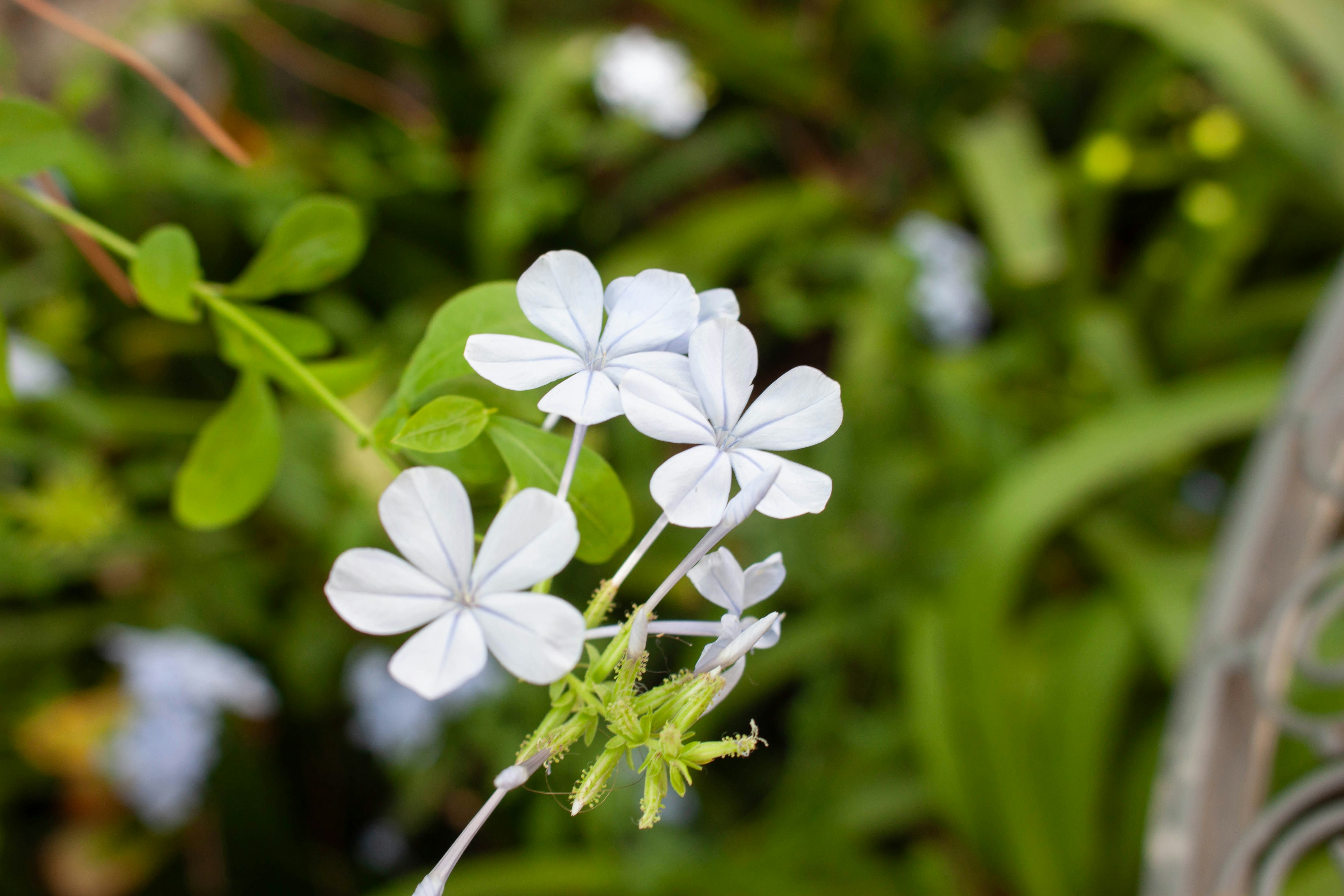 Photo by kamillaisalieva