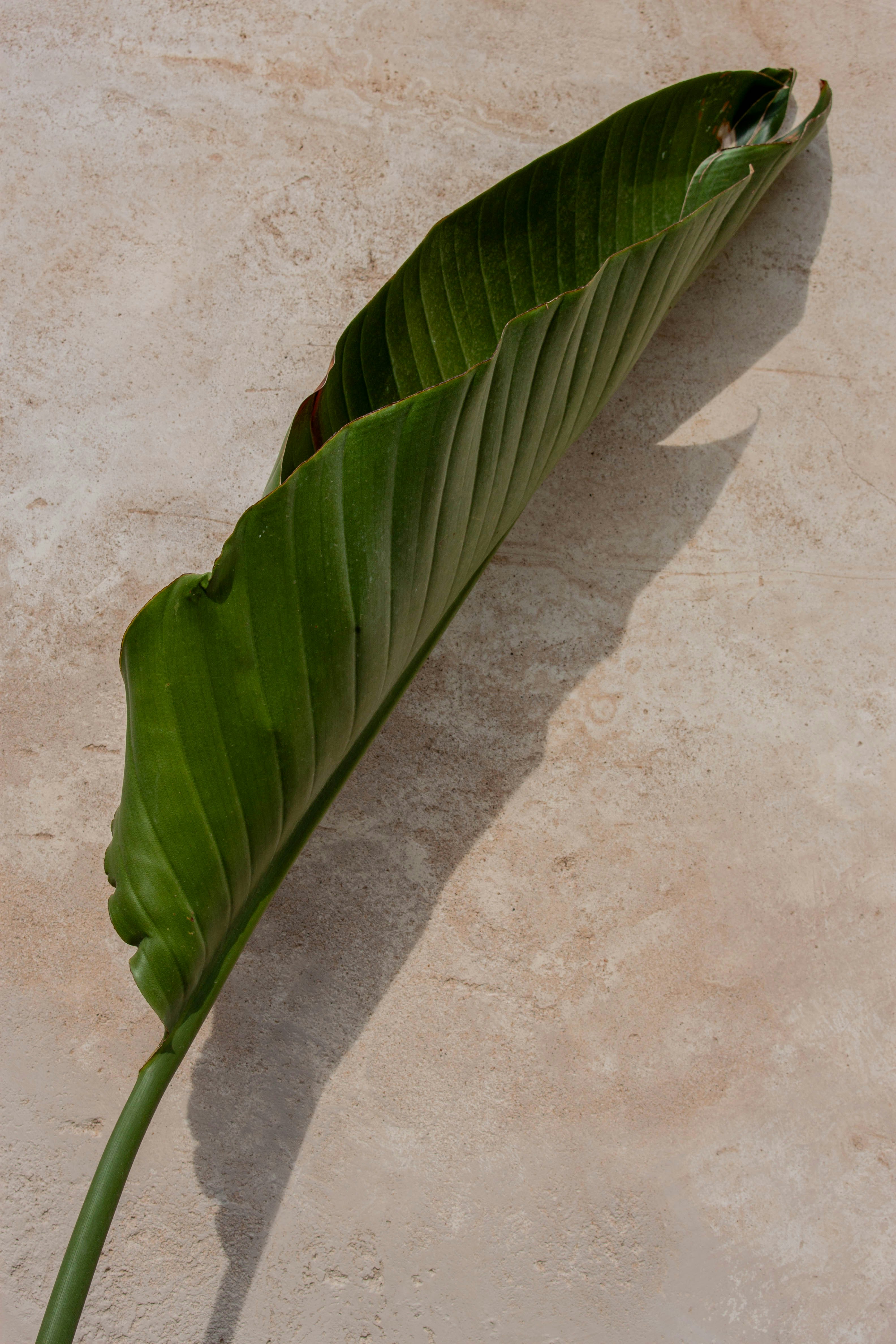 Photo by kamillaisalieva