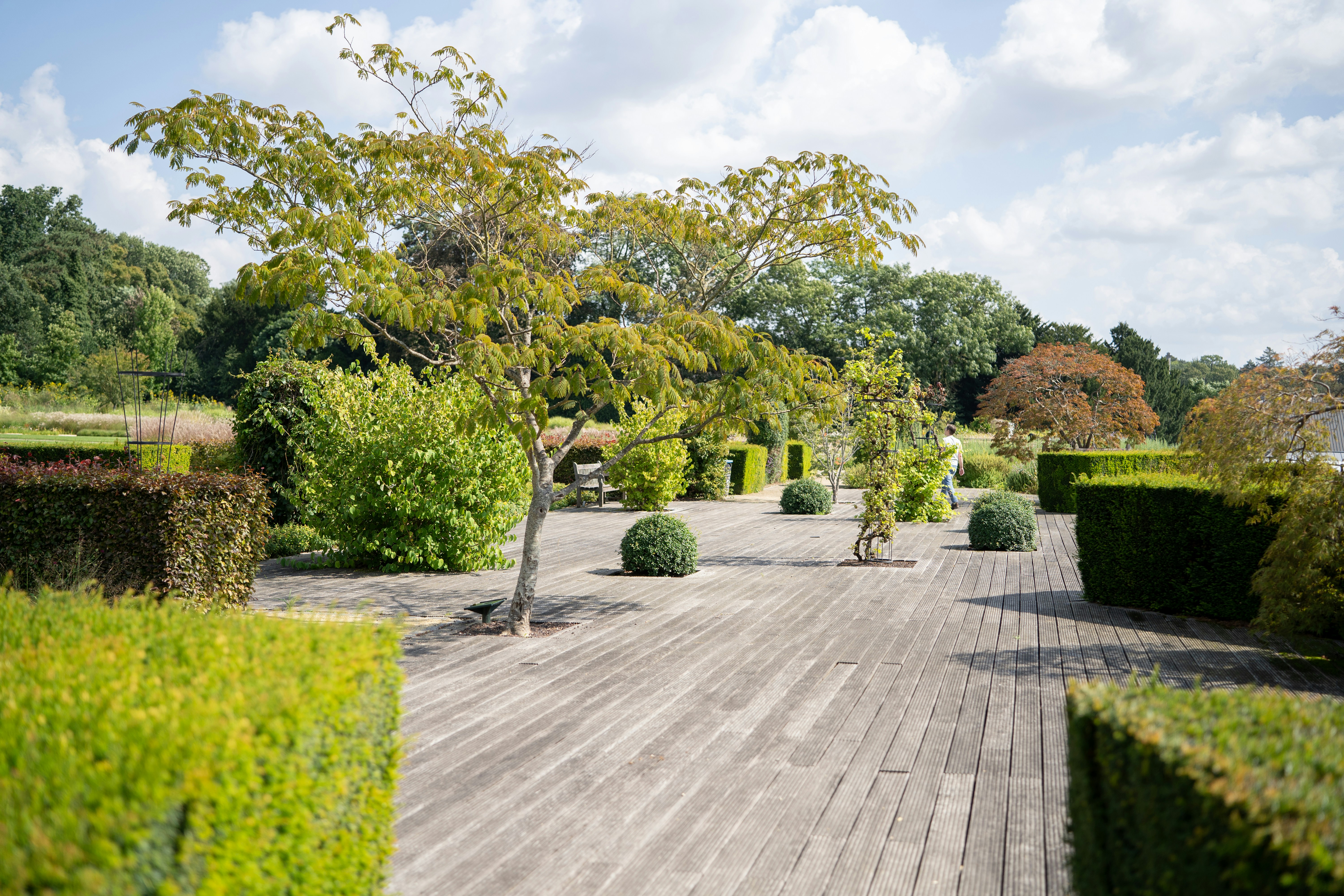 Photo by michelstock