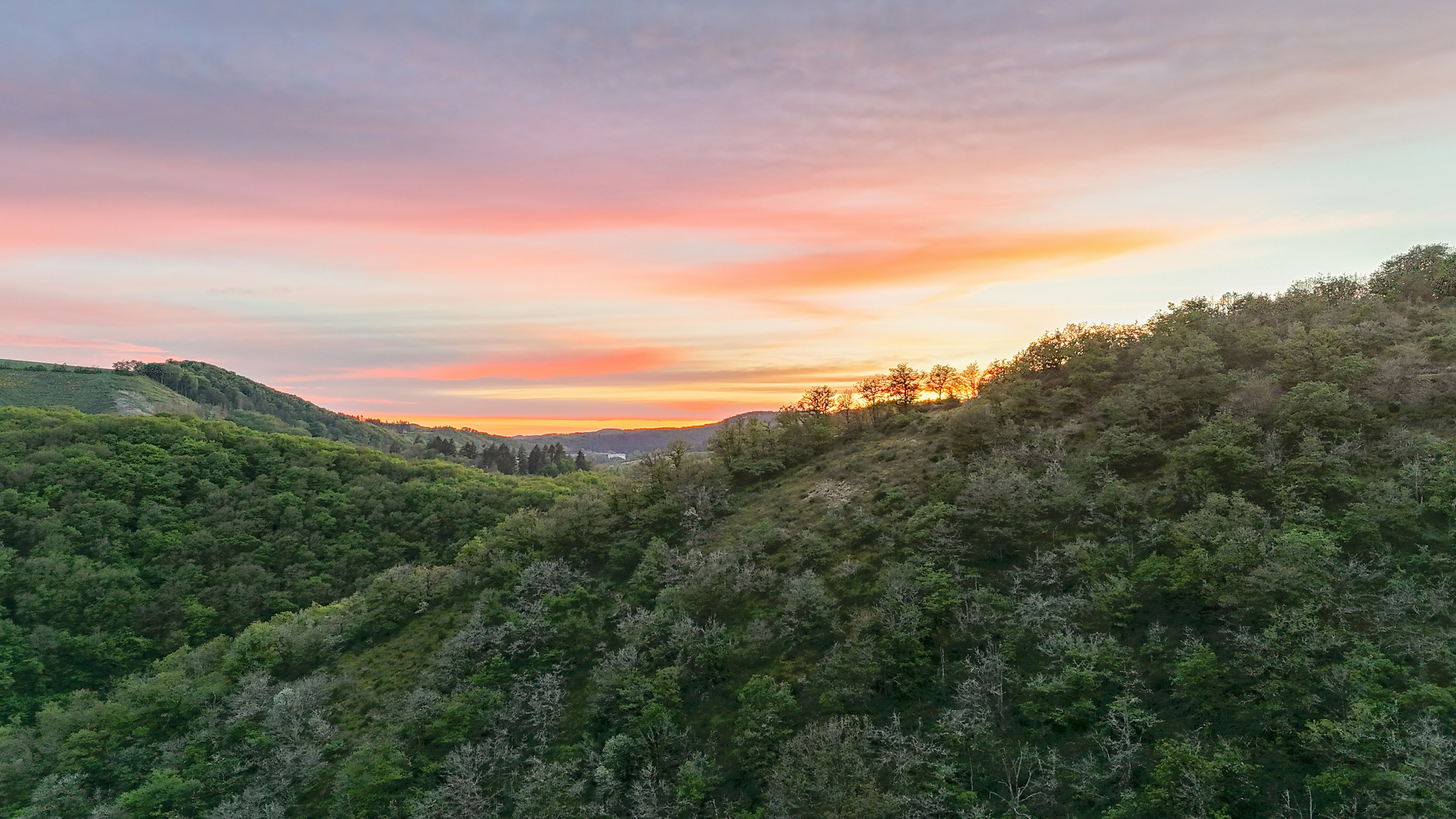 Photo by michelstock