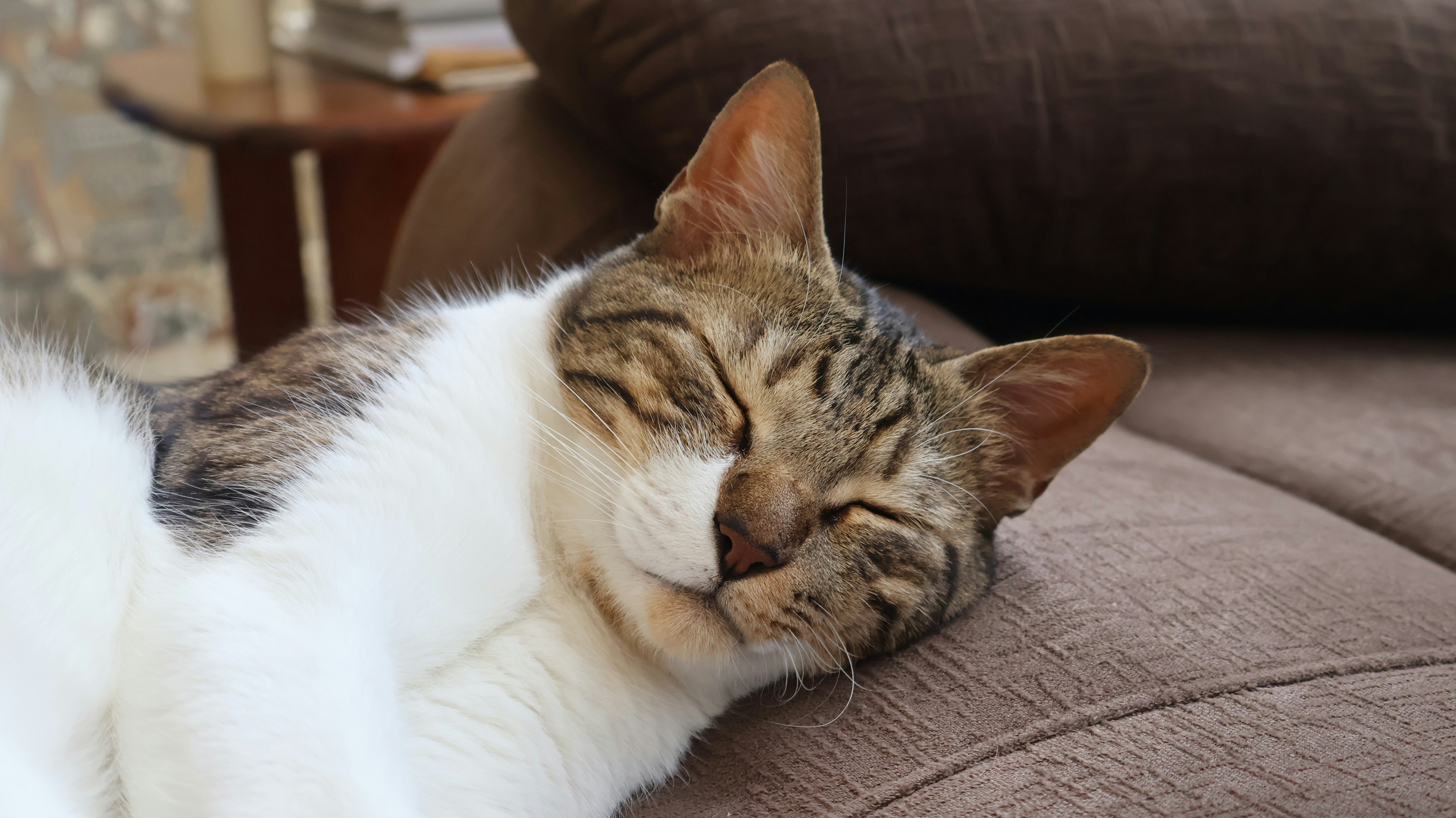 Photo by parichha_rashni