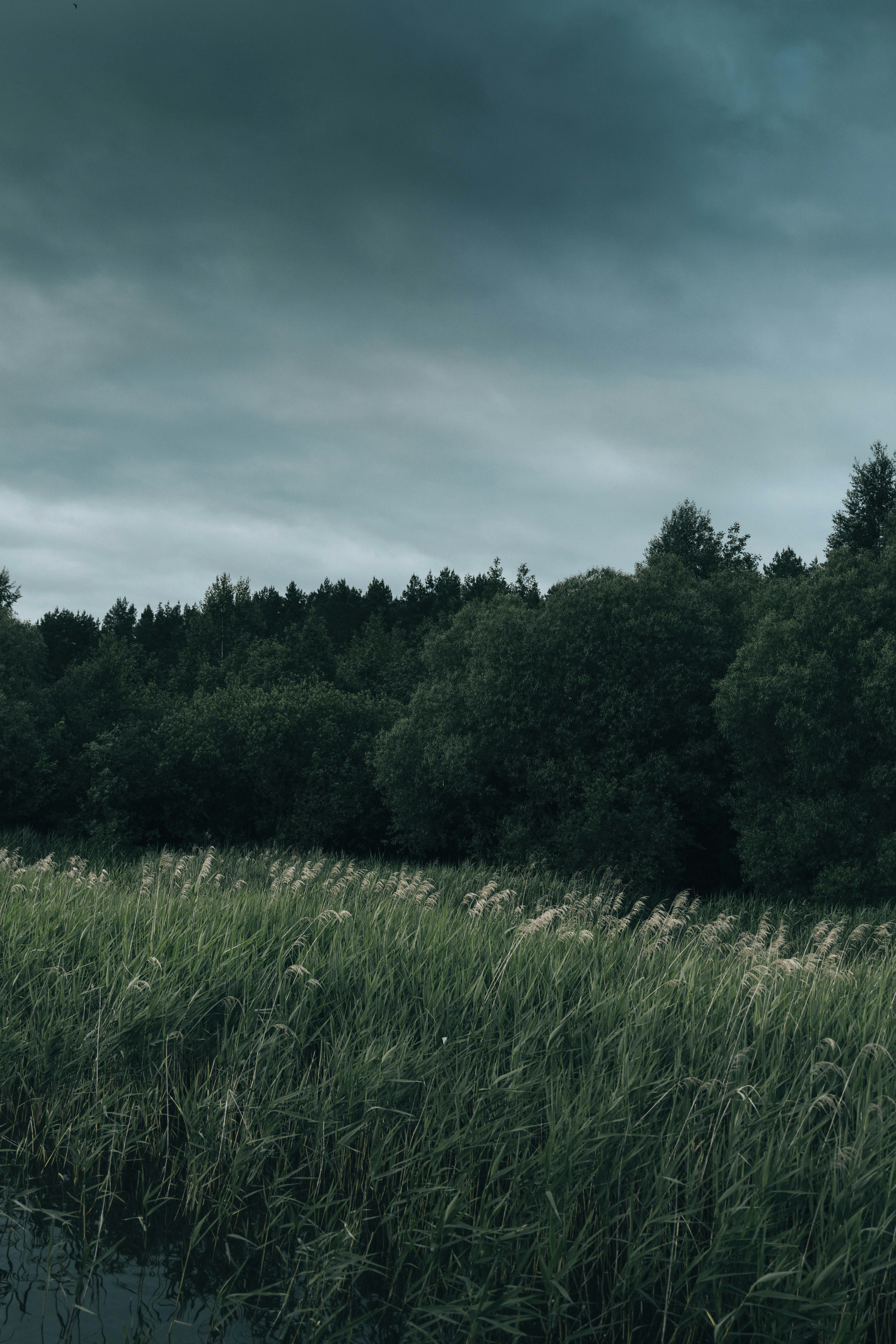 Photo by abalashevsky