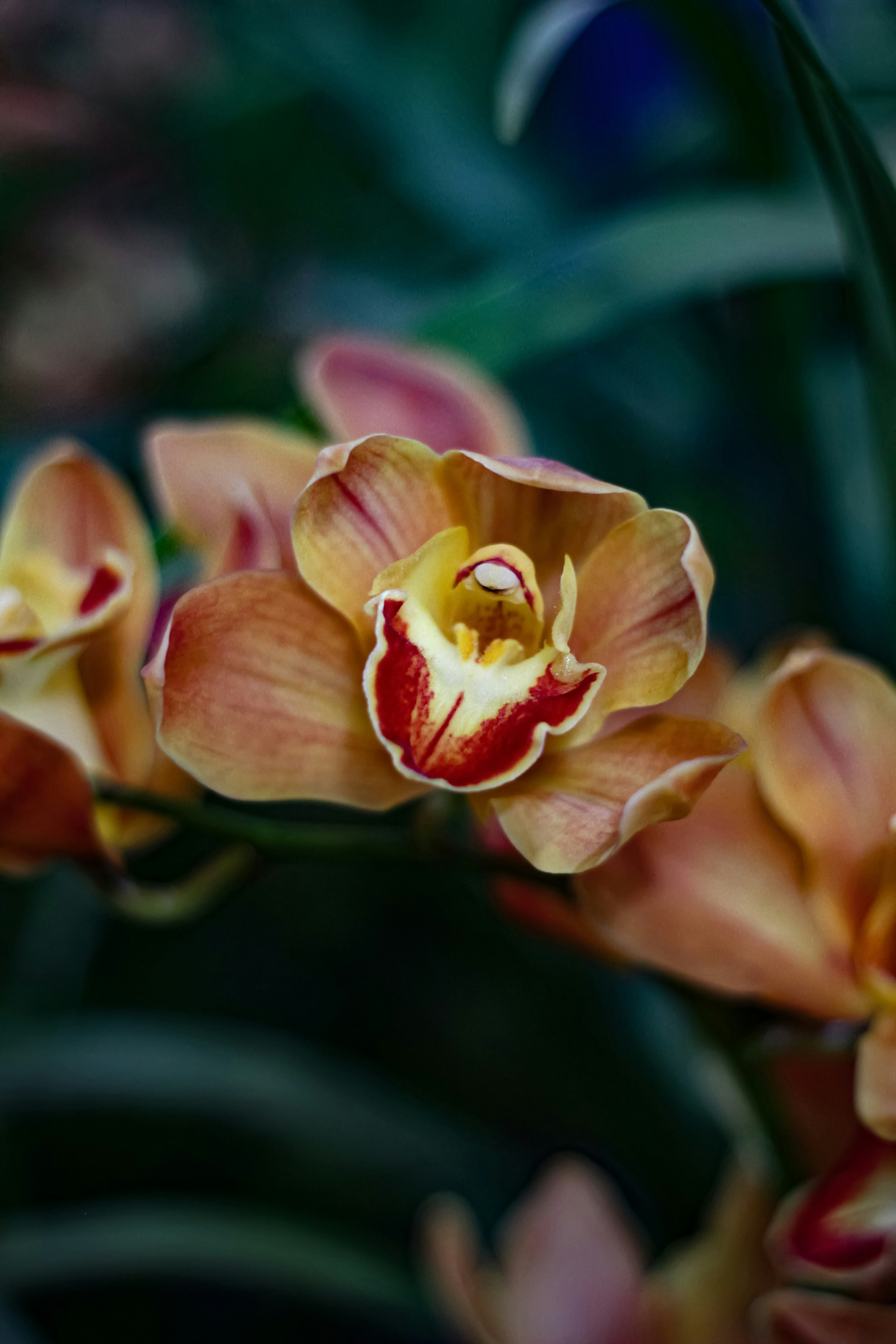 Photo by najoi_designer