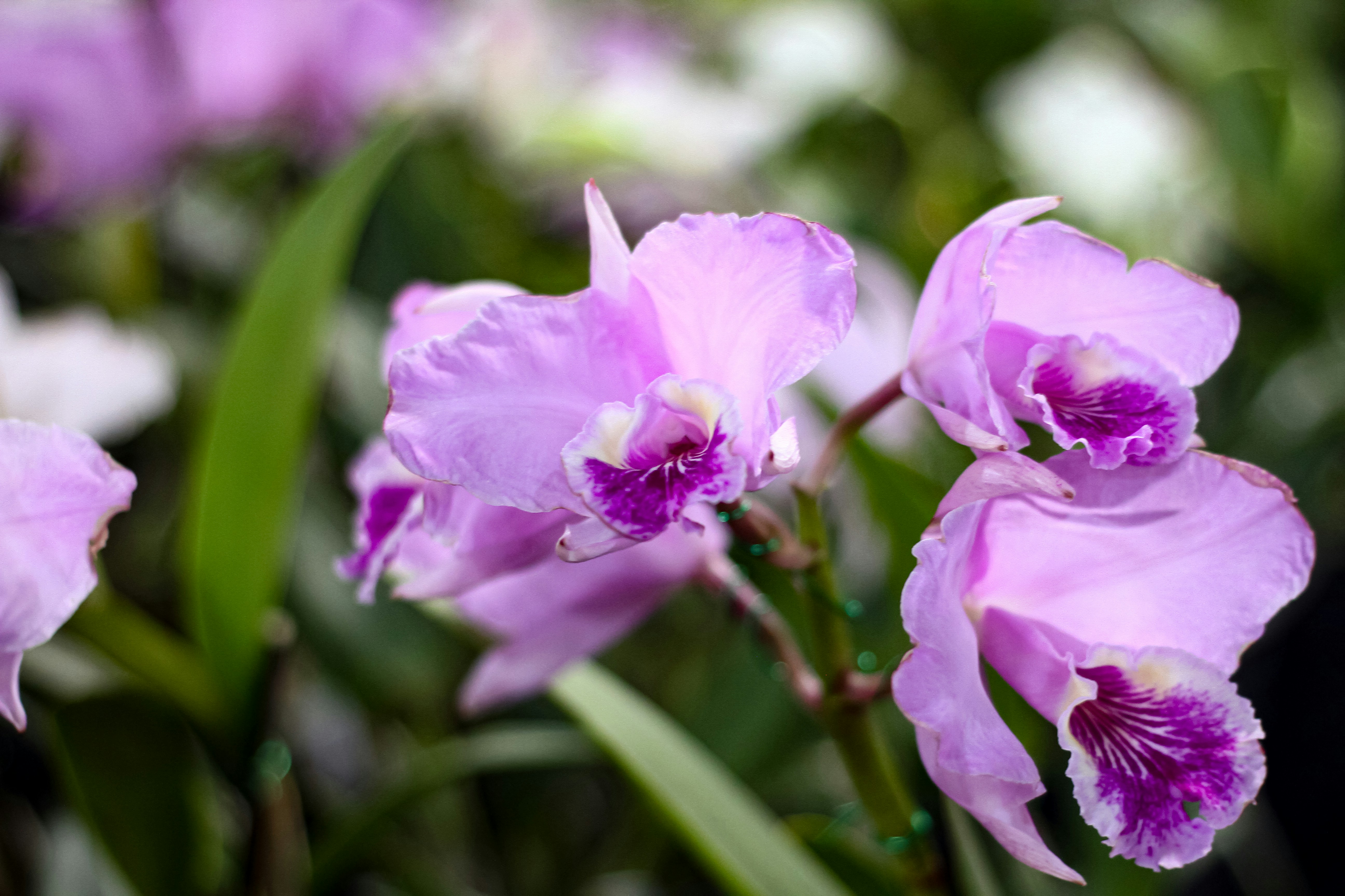 Photo by najoi_designer